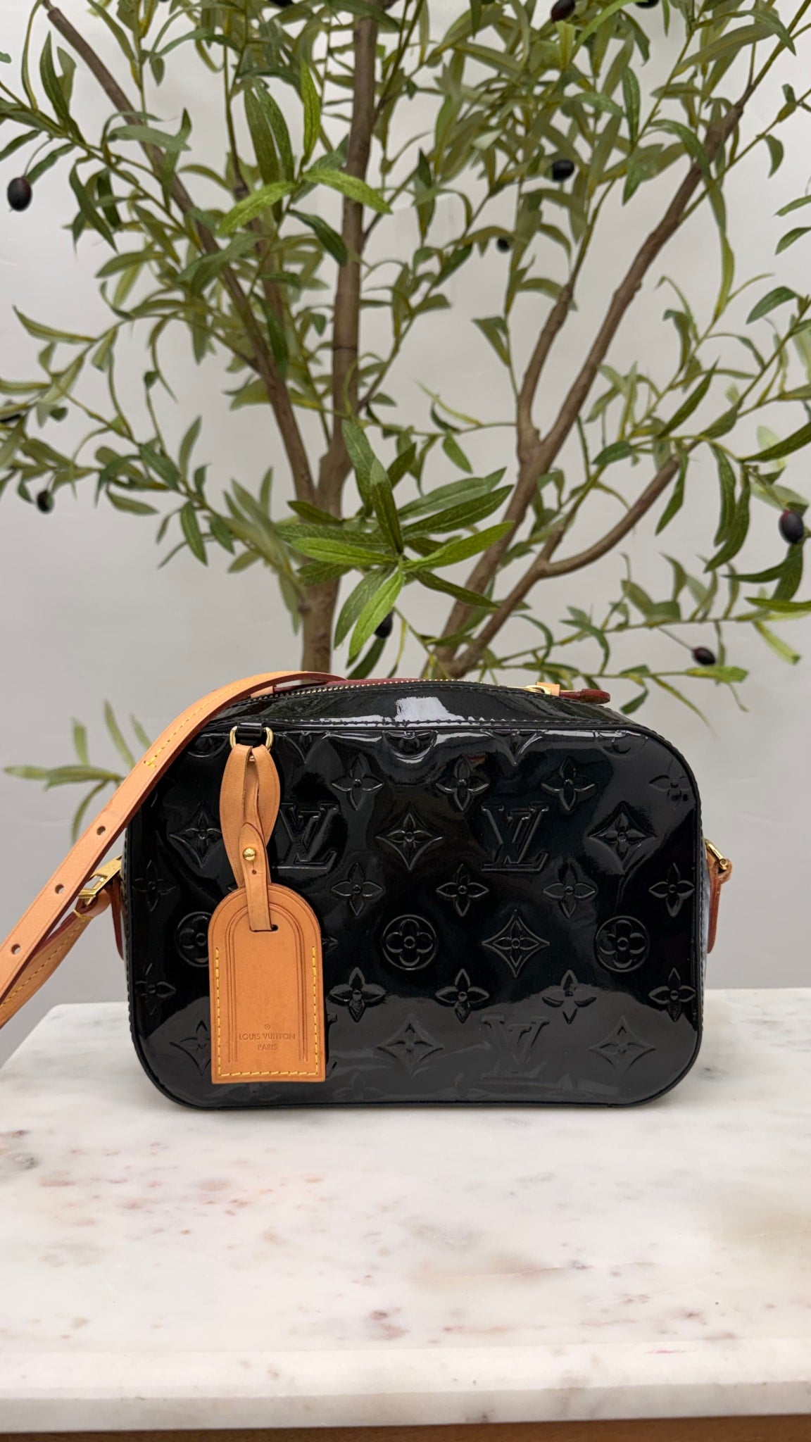 Louis Vuitton Black Vernis Santa Monica Camera Bag