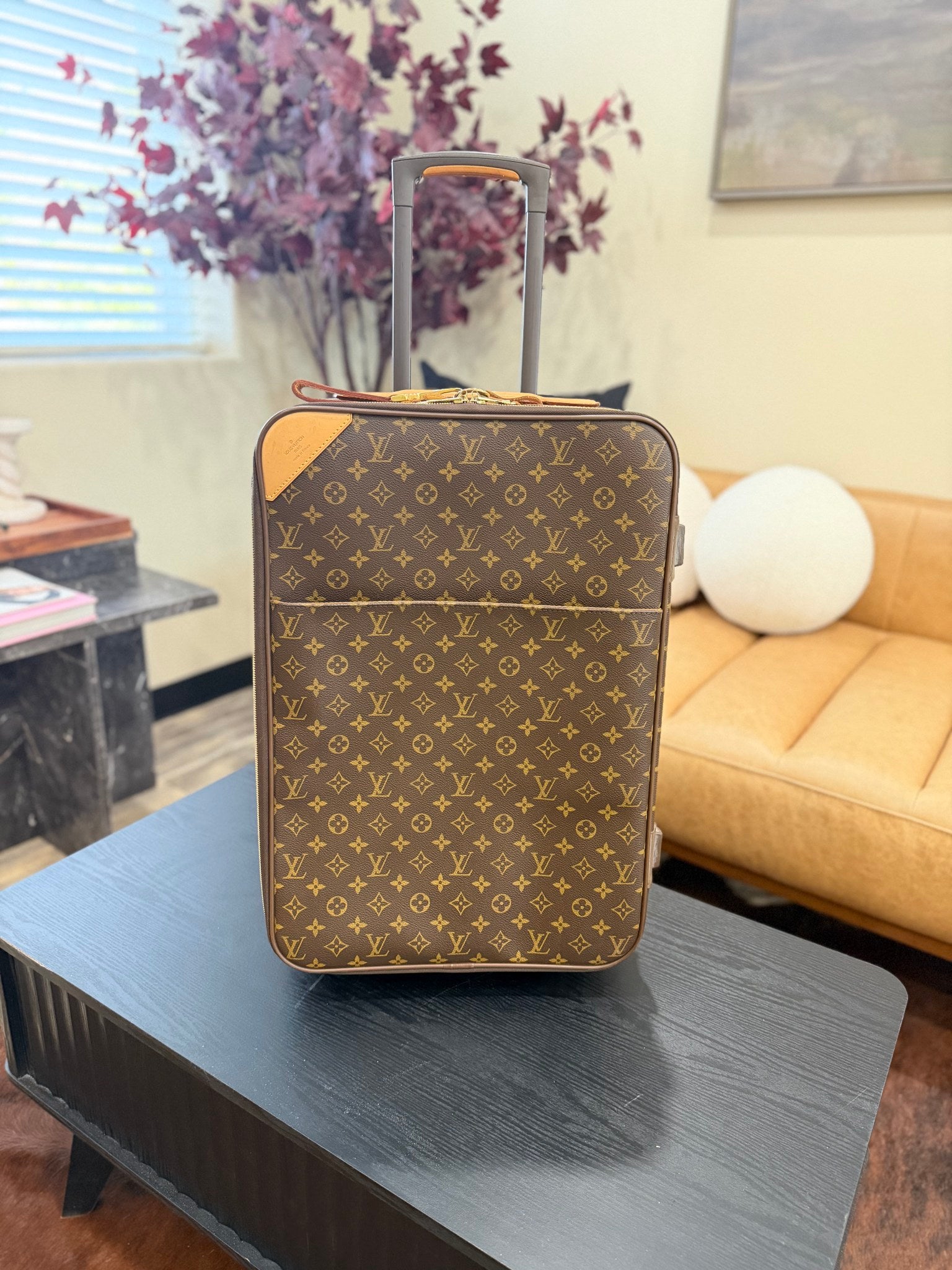 Louis Vuitton Monogram Pegasus 55 Carry on