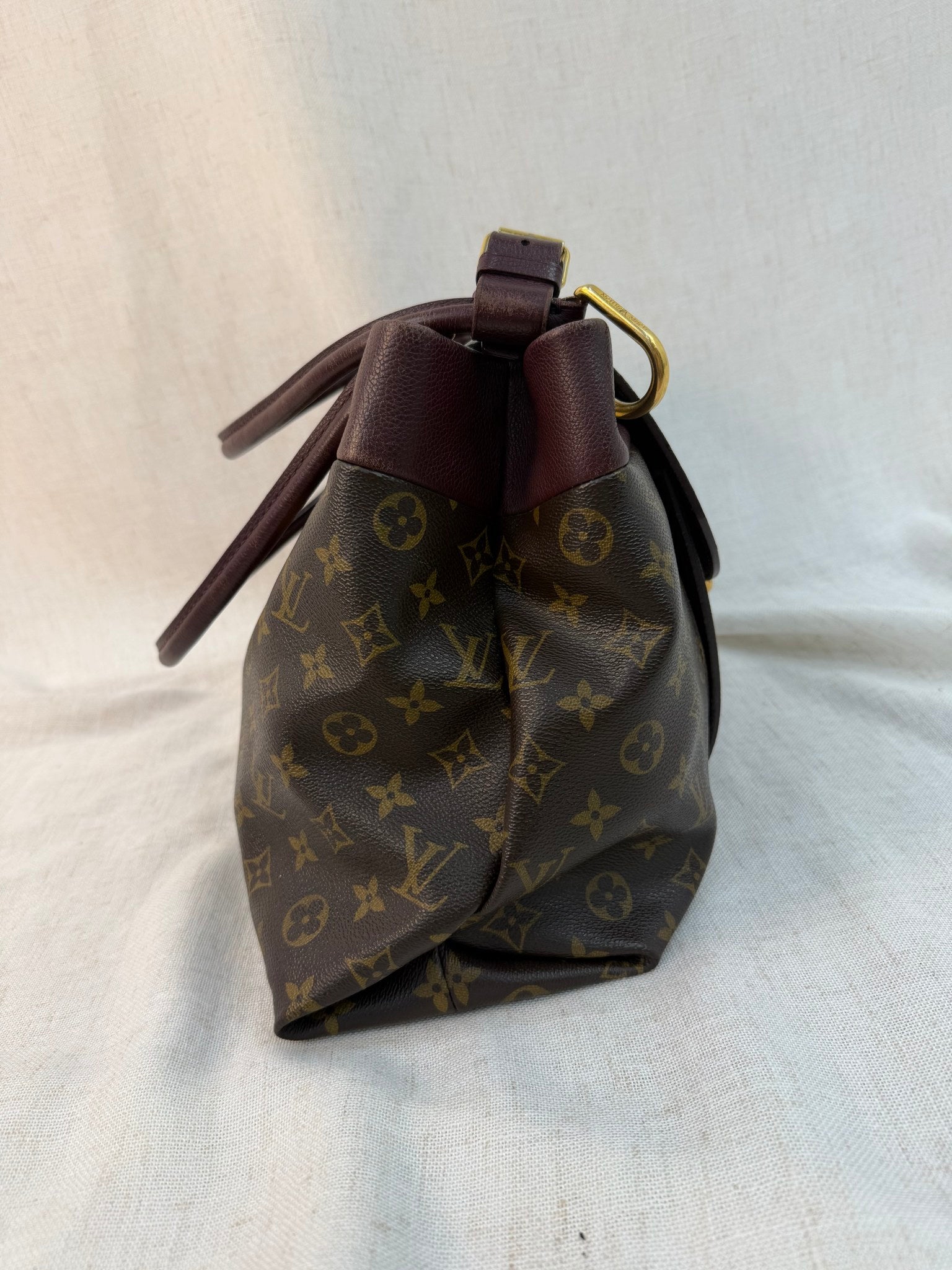 Louis Vuitton Monogram Olympe MM Bag