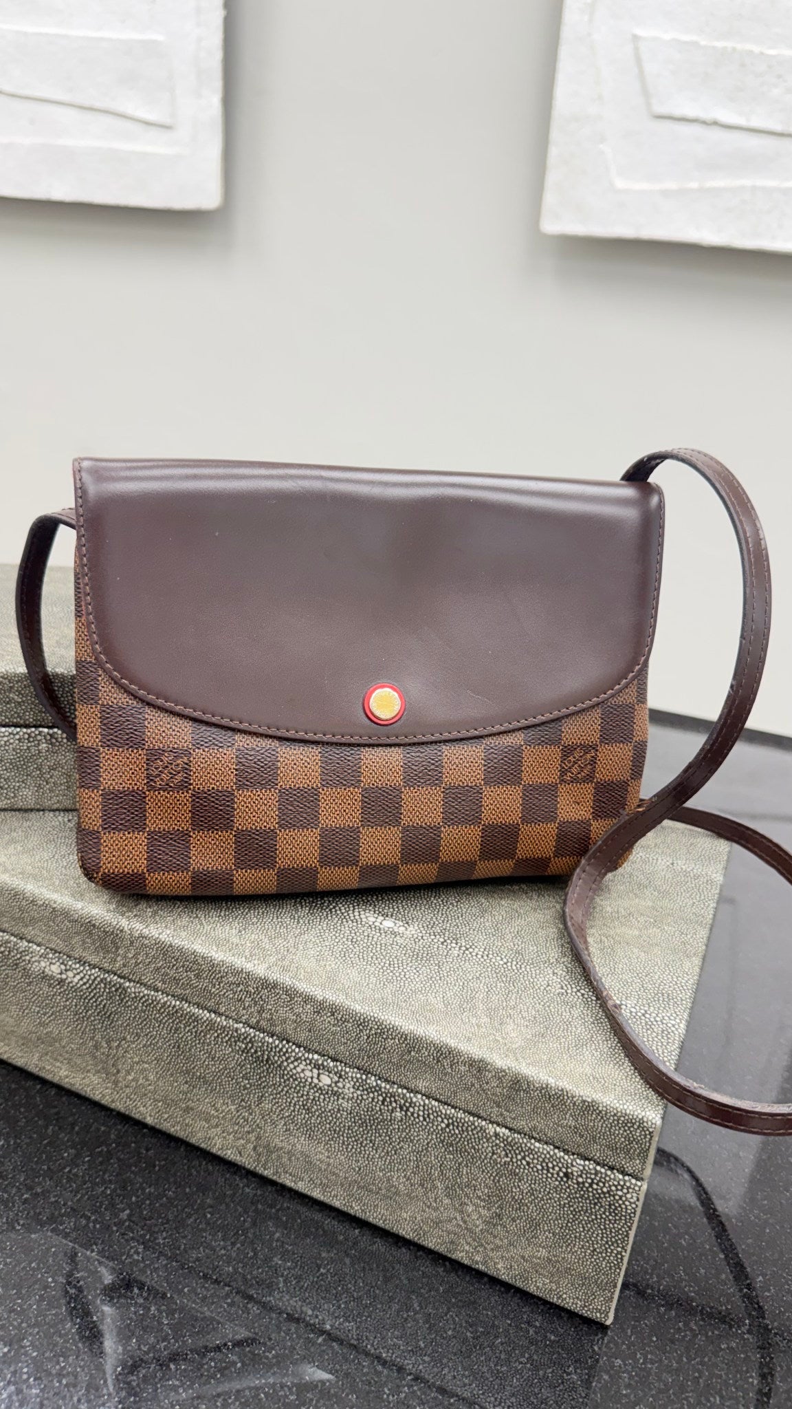 Louis Vuitton Damier Ebene Twice Pochette Crossbody Bag