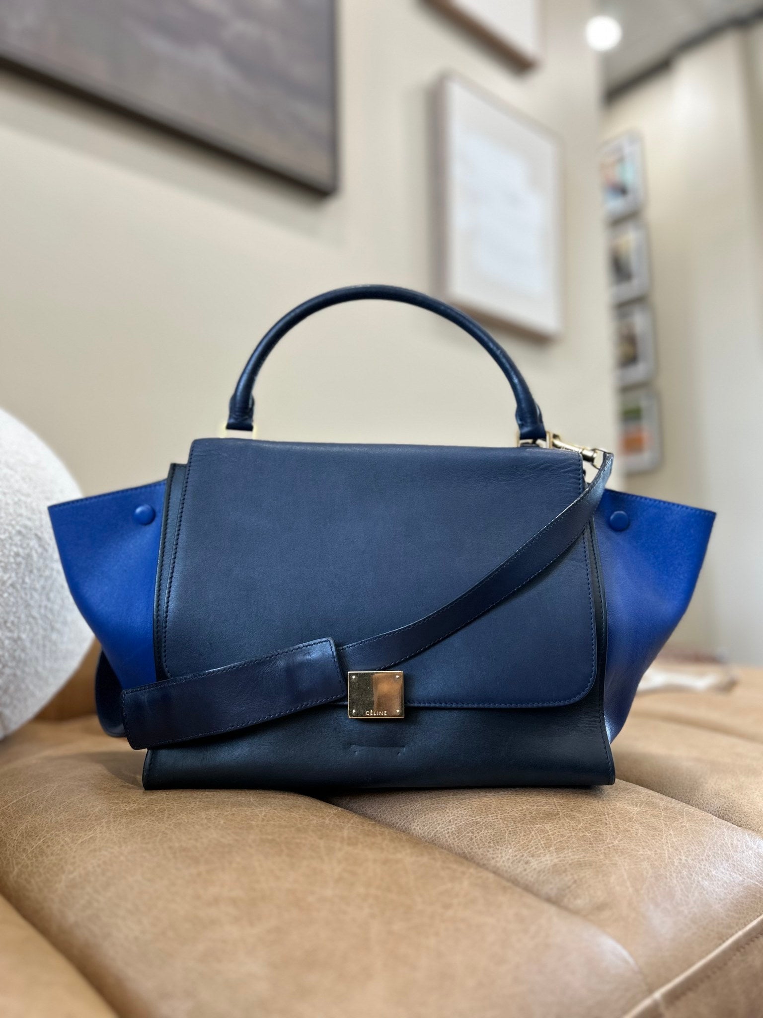 Celine Multicolor Trapeze Two Way Bag