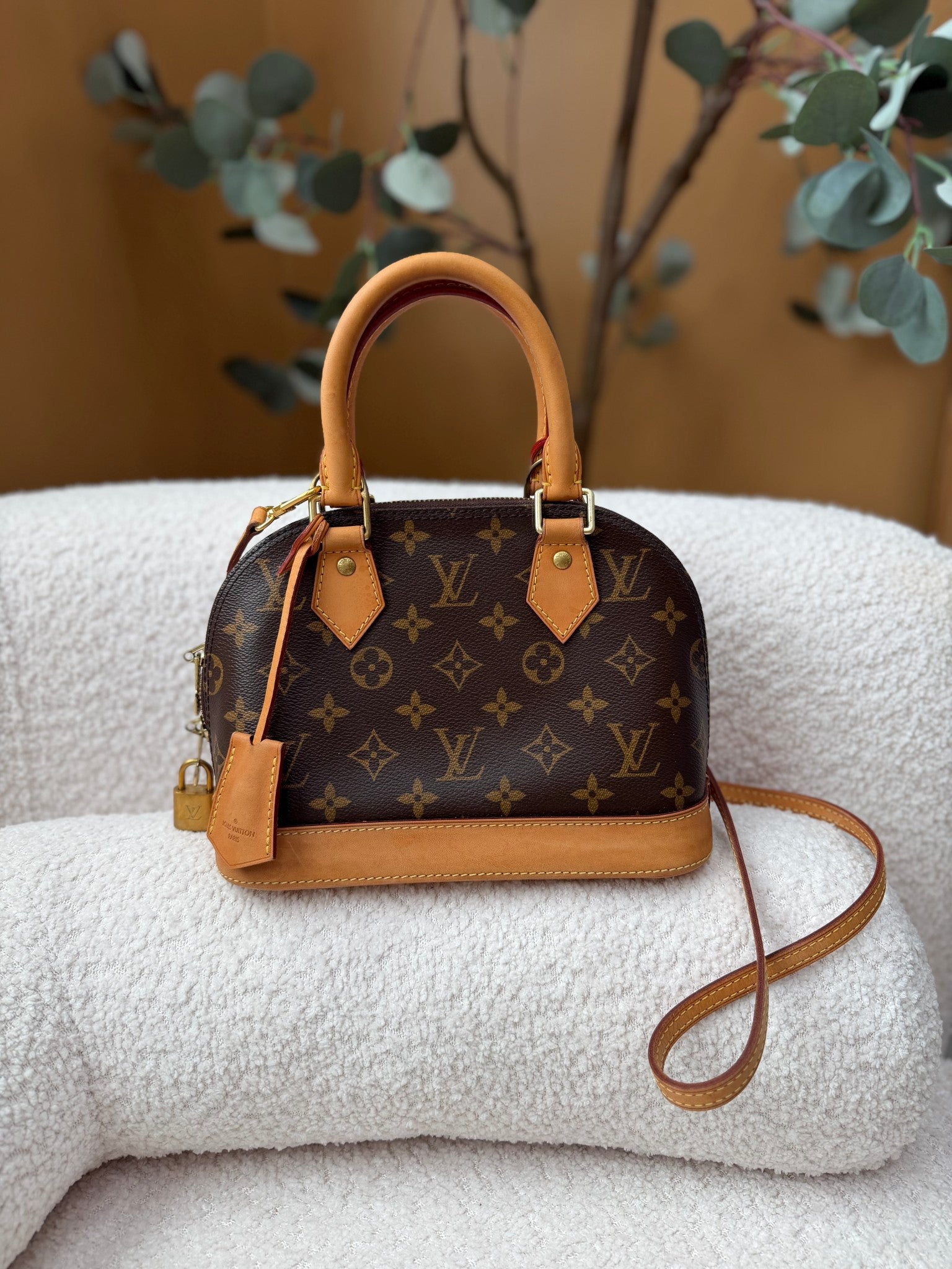 Louis Vuitton Monogram Alma BB Bag