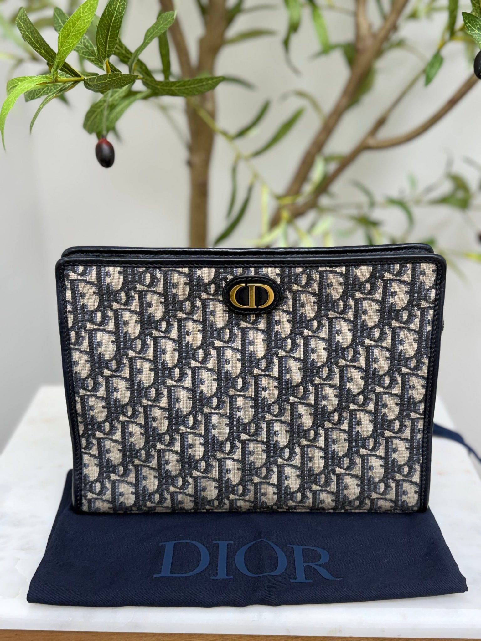 Christian Dior Navy Canvas Oblique 30 Montaigne Pouch