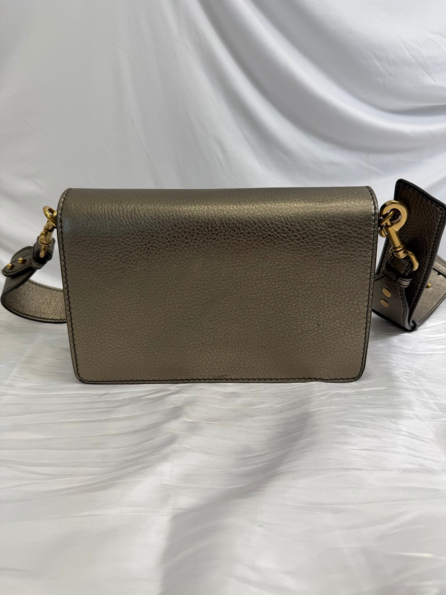 Christian Dior Metallic Bronze Grained Calfskin Crossbody