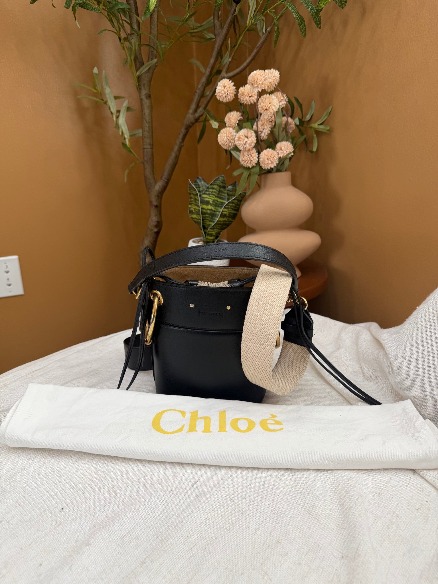 Chloe Black Calfskin Leather Small Roy Bucket Bag