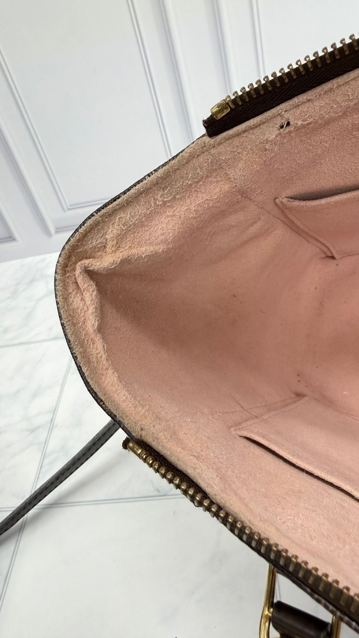 Louis Vuitton Damier Ebene & Pink Caissa PM 2Way Bag