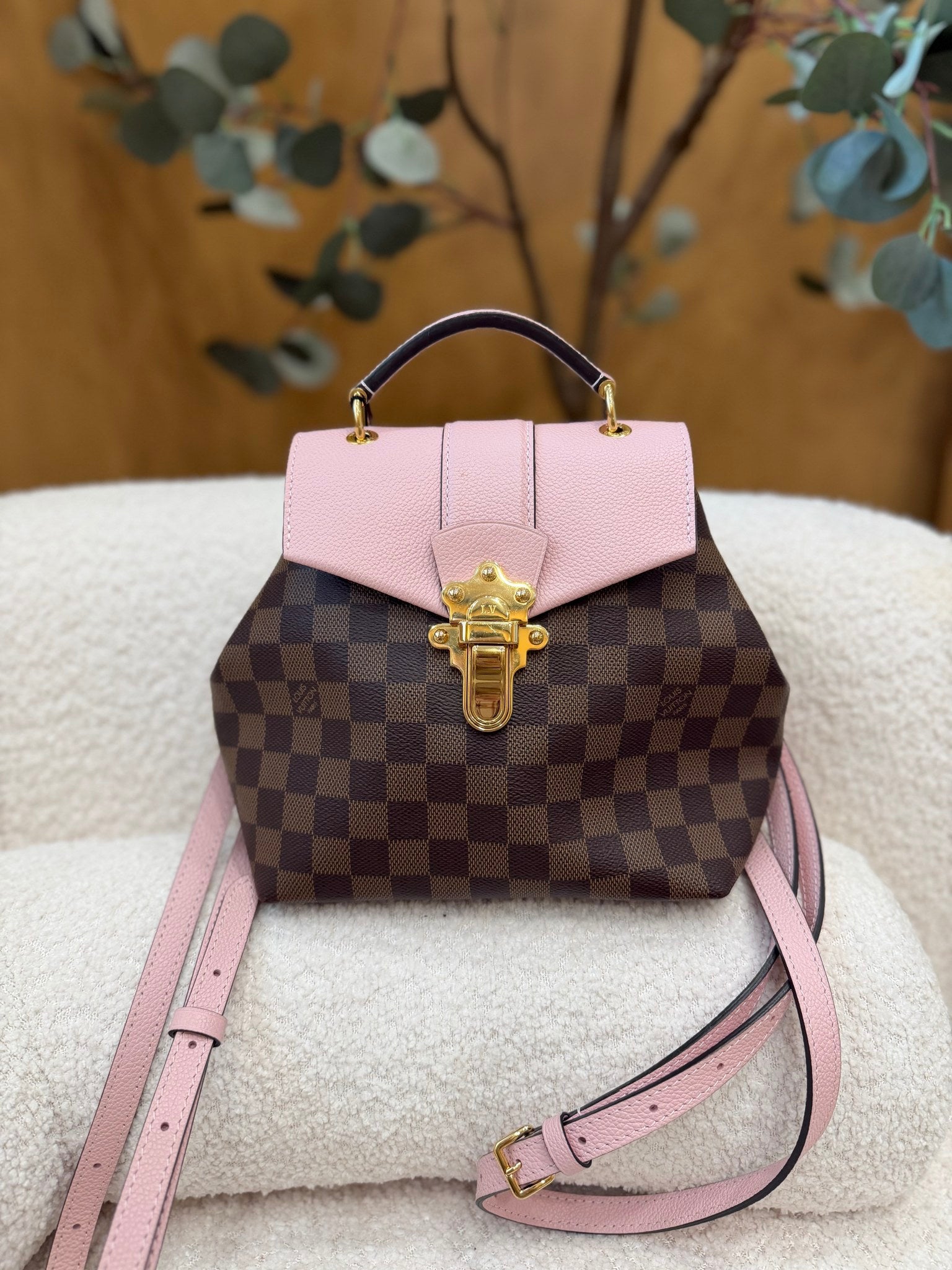 Louis Vuitton Damier Ebene Clapton Backpack