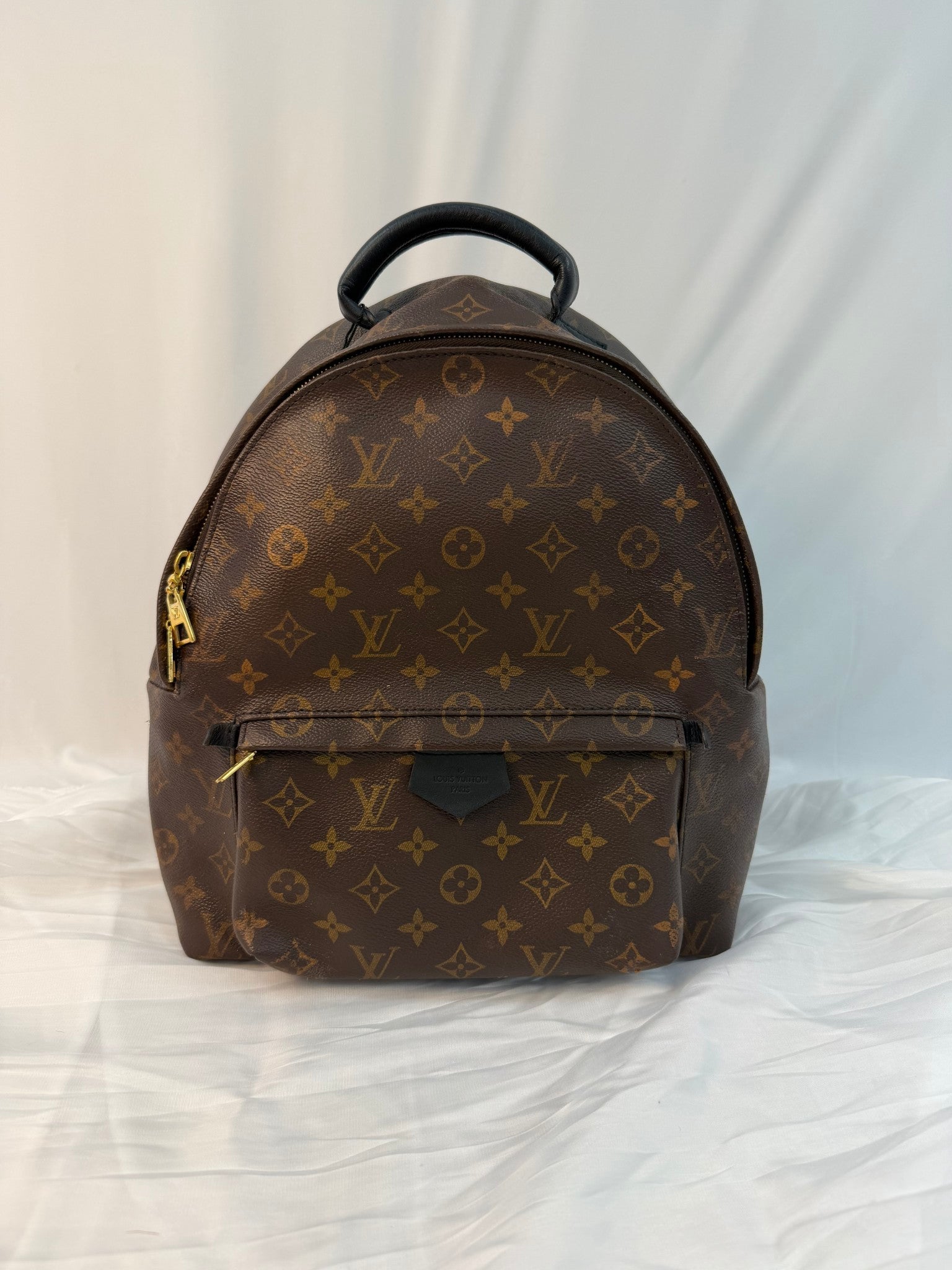 Louis Vuitton Monogram Palm Spring Backpack MM