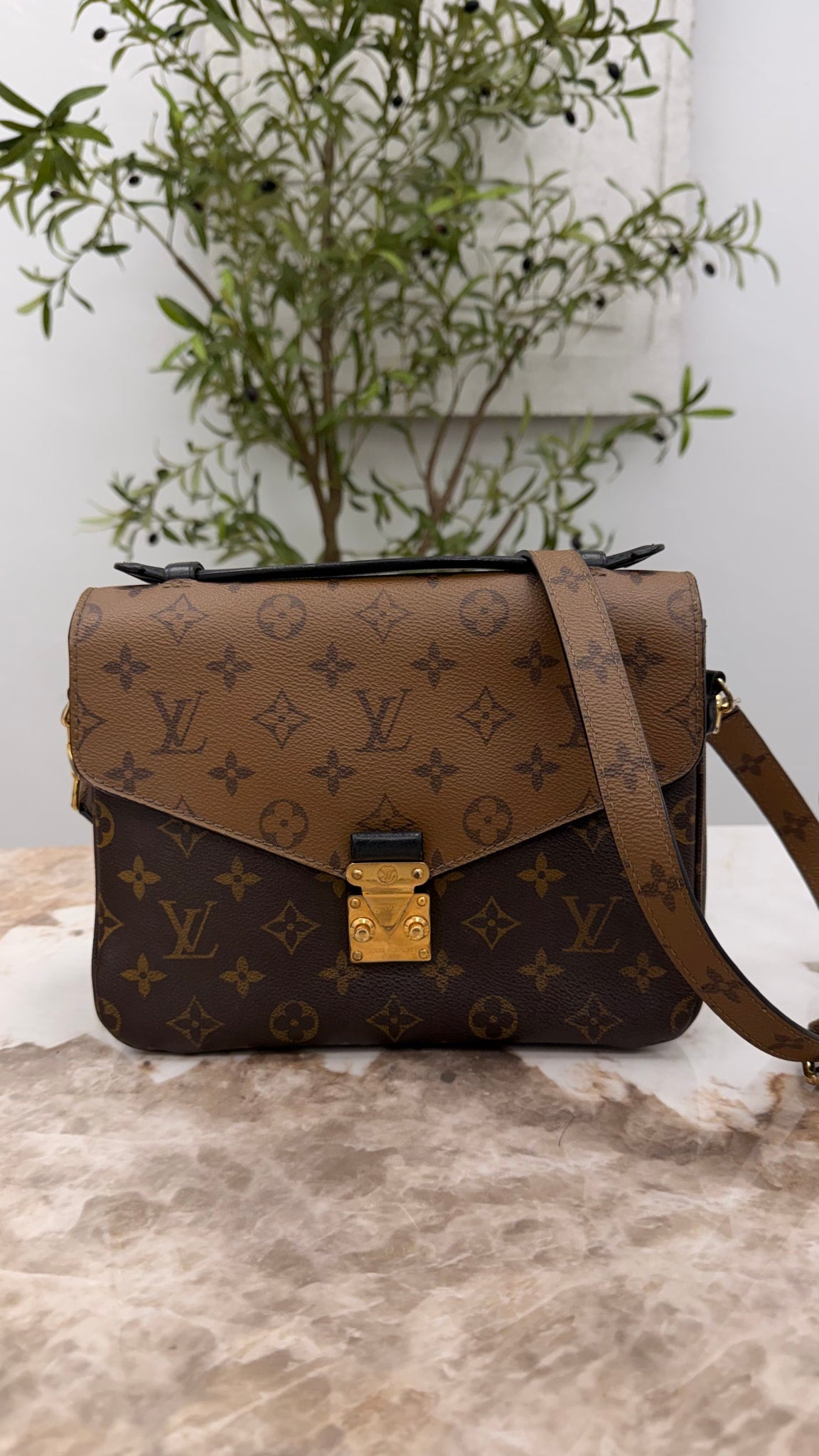 Louis Vuitton Reverse Monogram Pochette Metis Crossbody