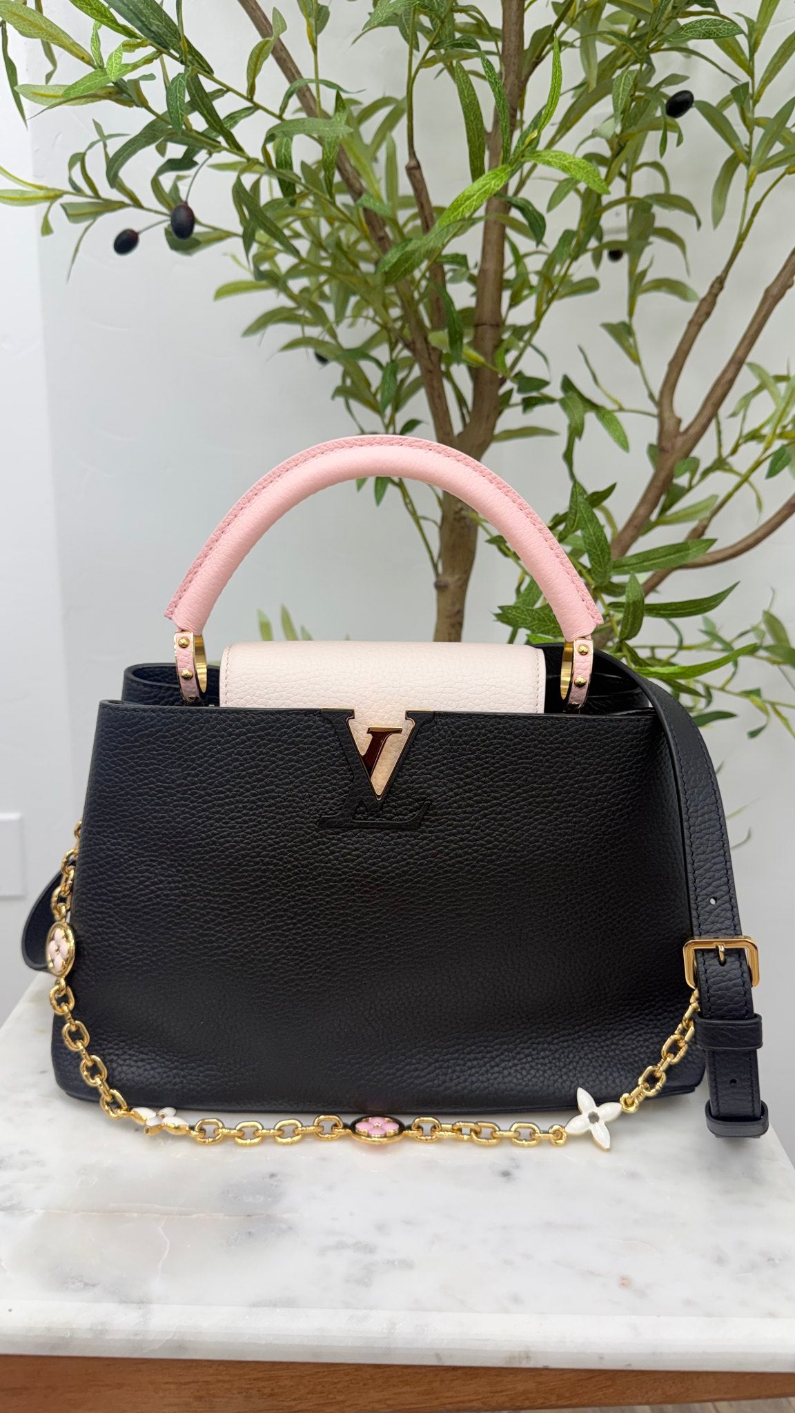 Louis Vuitton Black And Pink Taurillon Leather Capucines MM Handbag