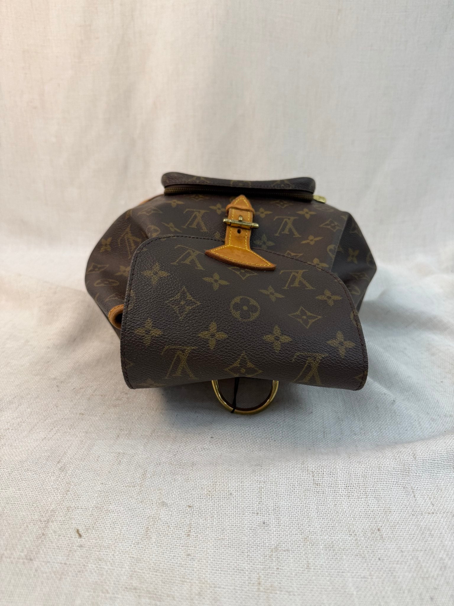 Louis Vuitton Monogram Montsouris MM Backpack