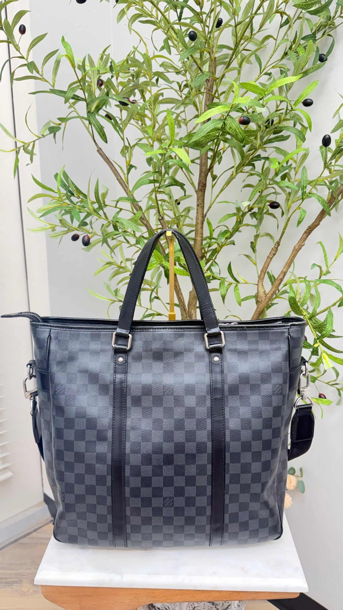 Louis Vuitton Damier Graphite Tadao PM Tote Bag