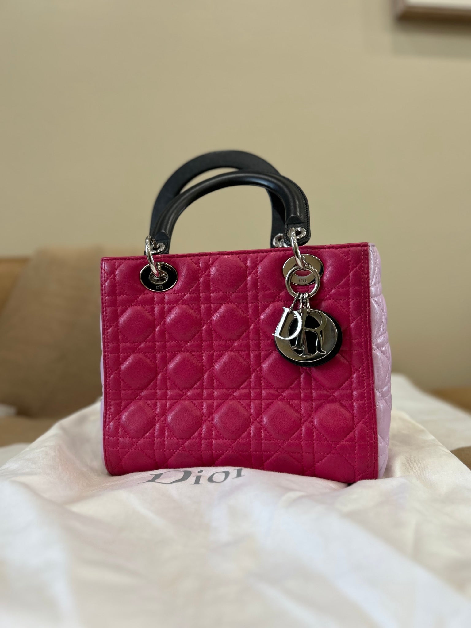 Christian Dior Multicolor Lady Dior Medium
