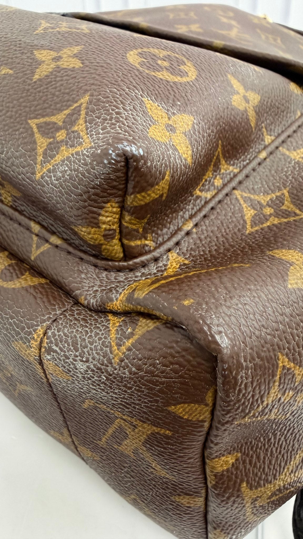 Louis Vuitton Monogram Palm Springs MM Backpack