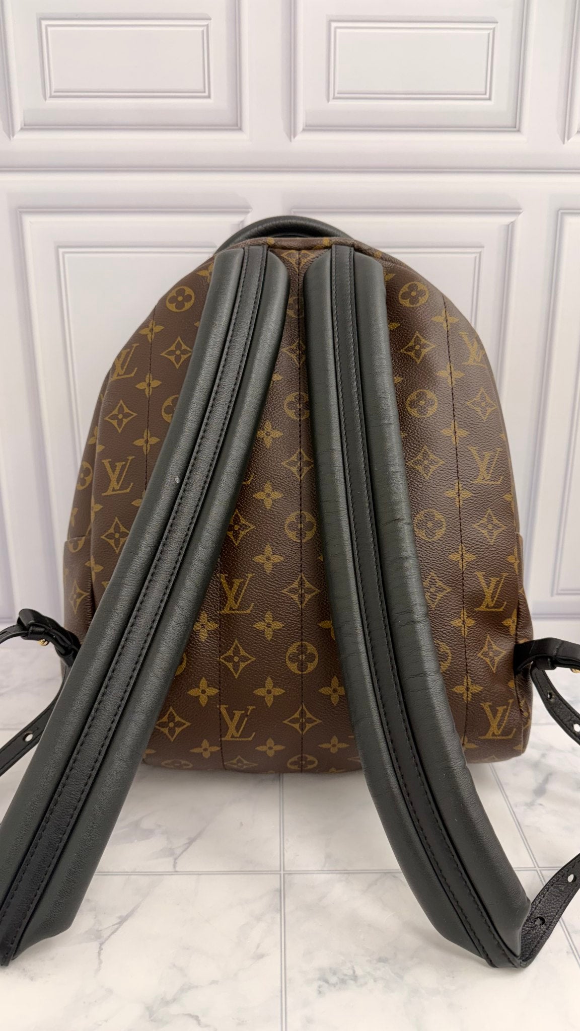 Louis Vuitton Monogram Palm Springs MM Backpack