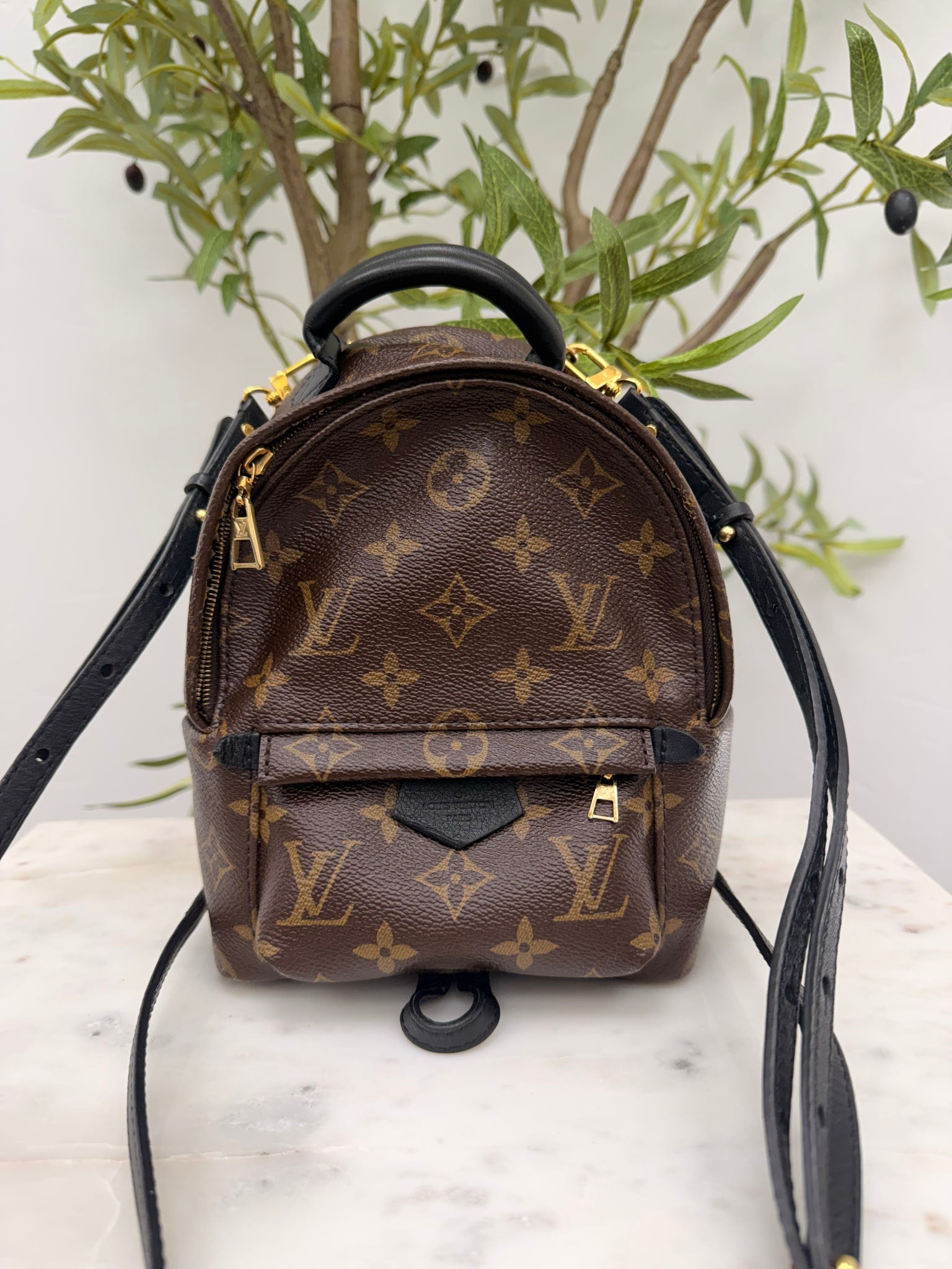 Louis Vuitton Monogram Mini Palm Springs Backpack