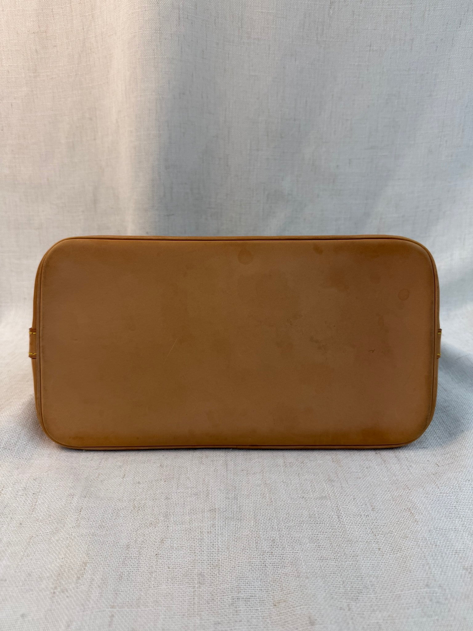 Louis Vuitton Monogram Alma PM Bag