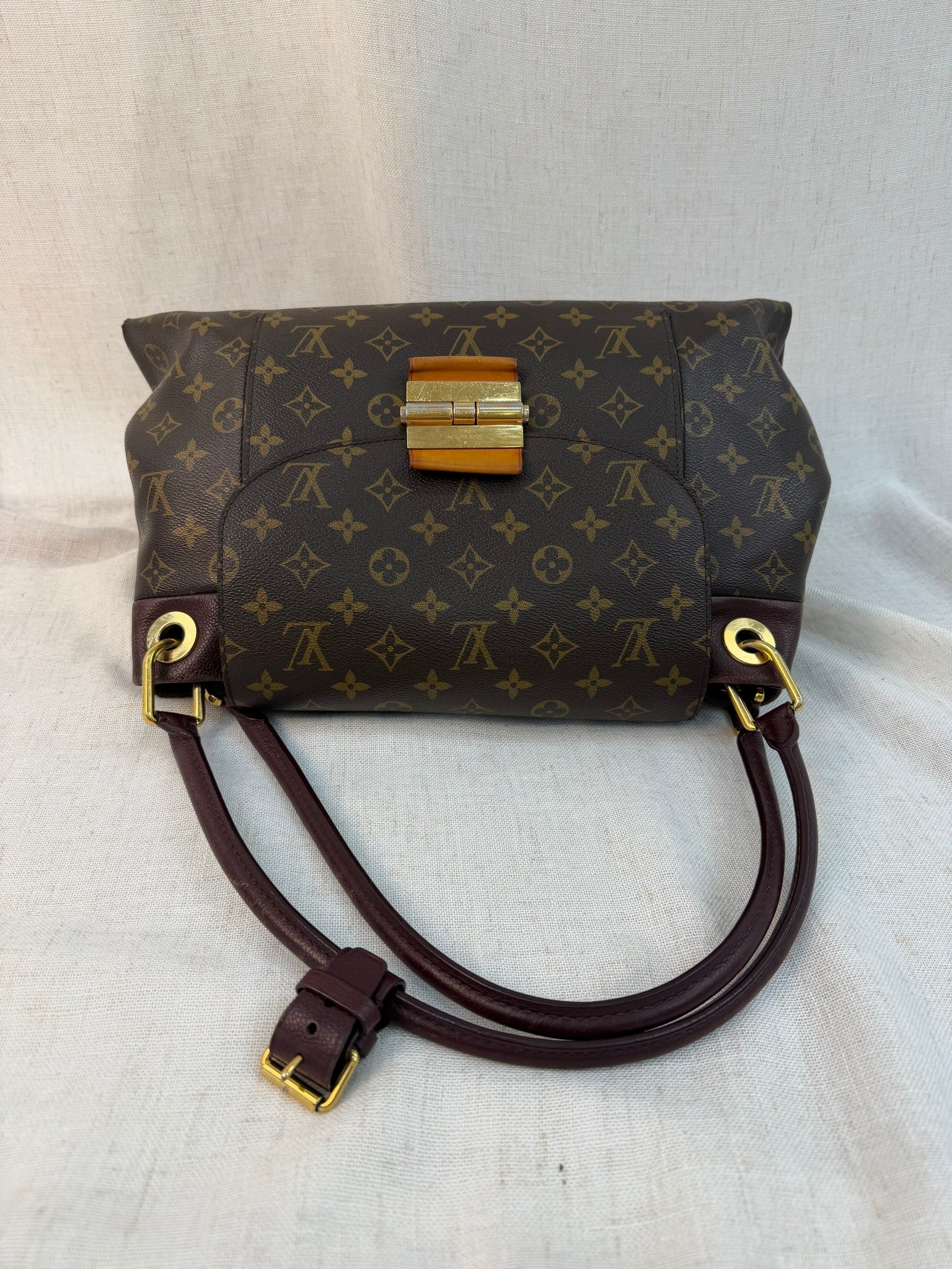 Louis Vuitton Monogram Olympe MM Bag