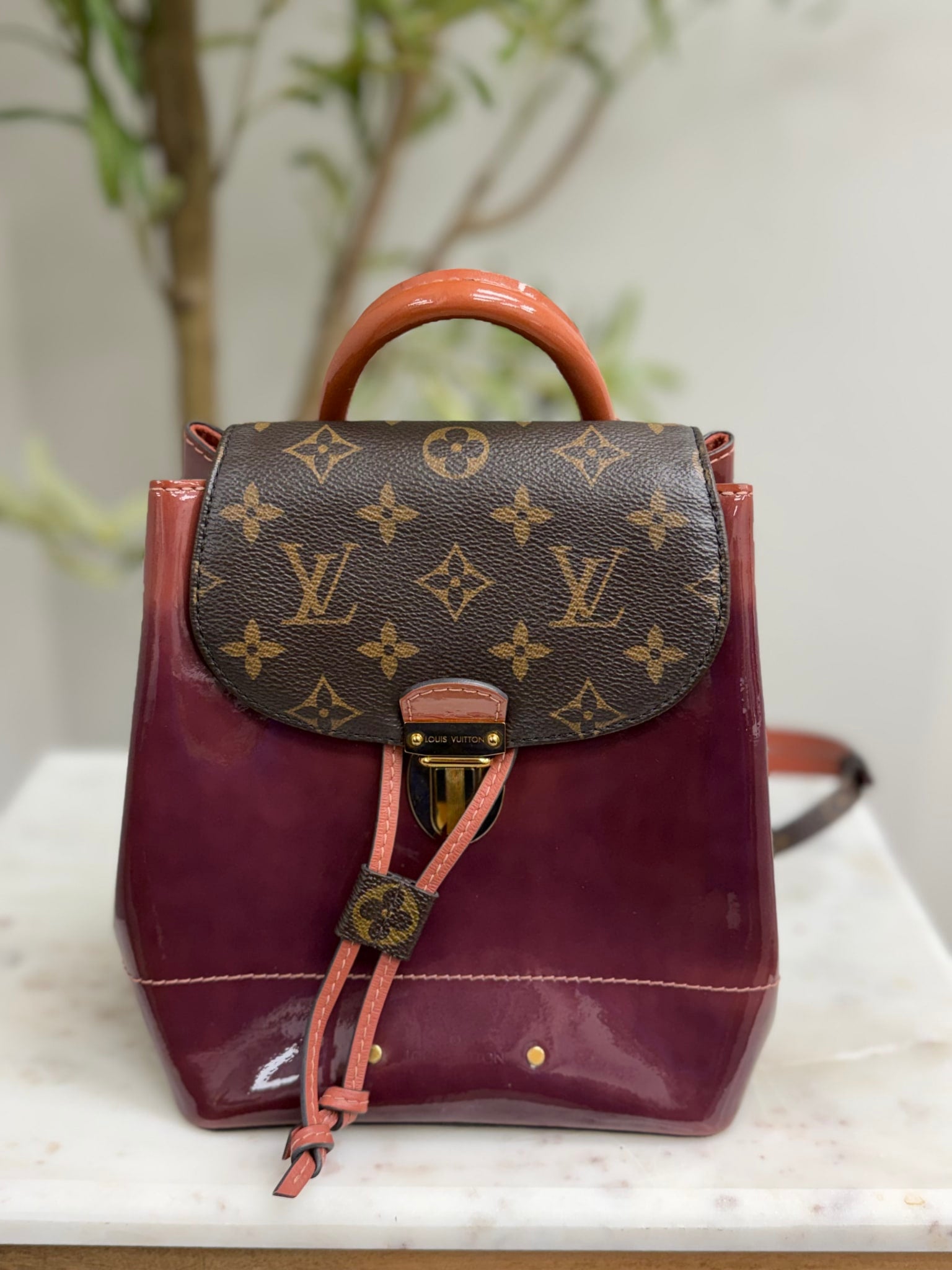 Louis Vuitton Multicolor Vernis Leather Hot Springs Backpack