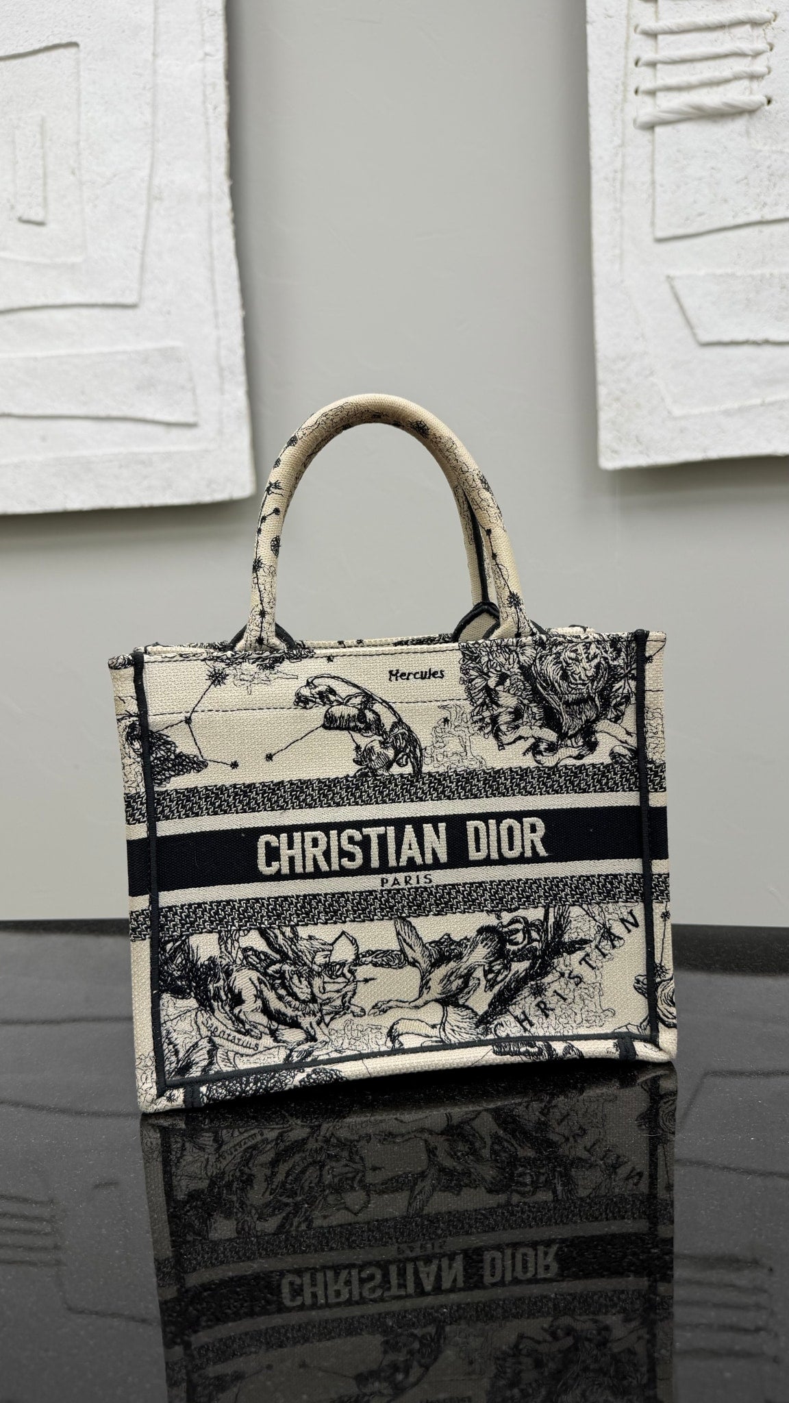 Christian Dior White & Black Canvas Astrology Small Book Tote