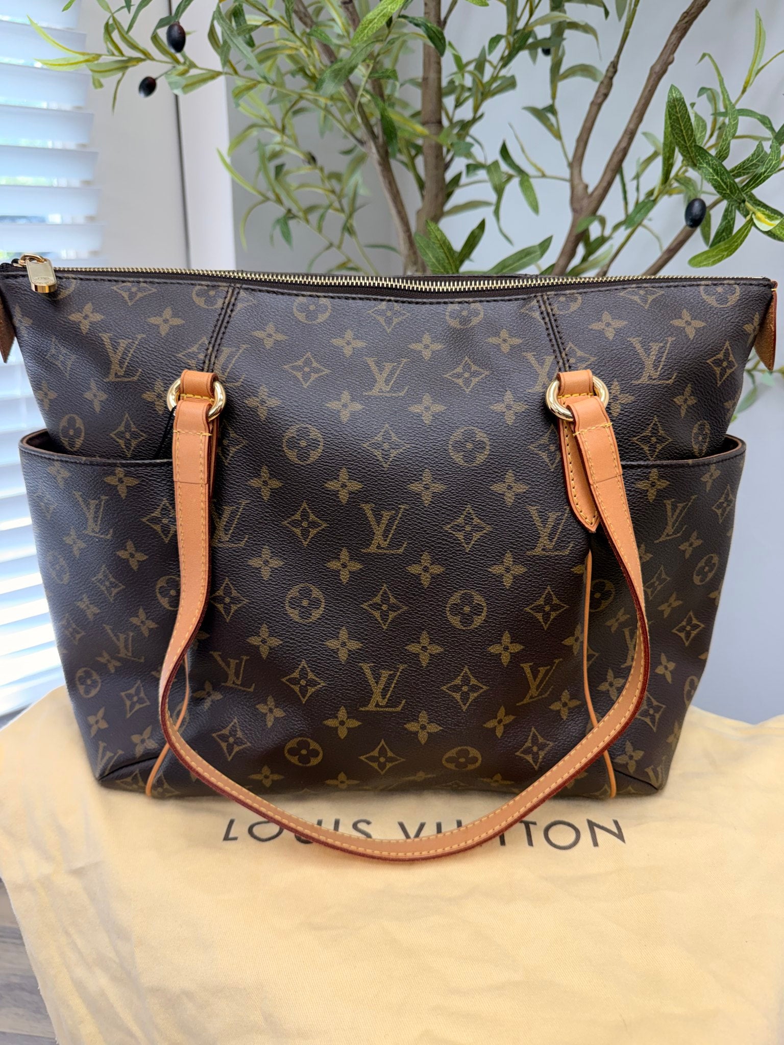 Louis Vuitton Monogram Totally MM