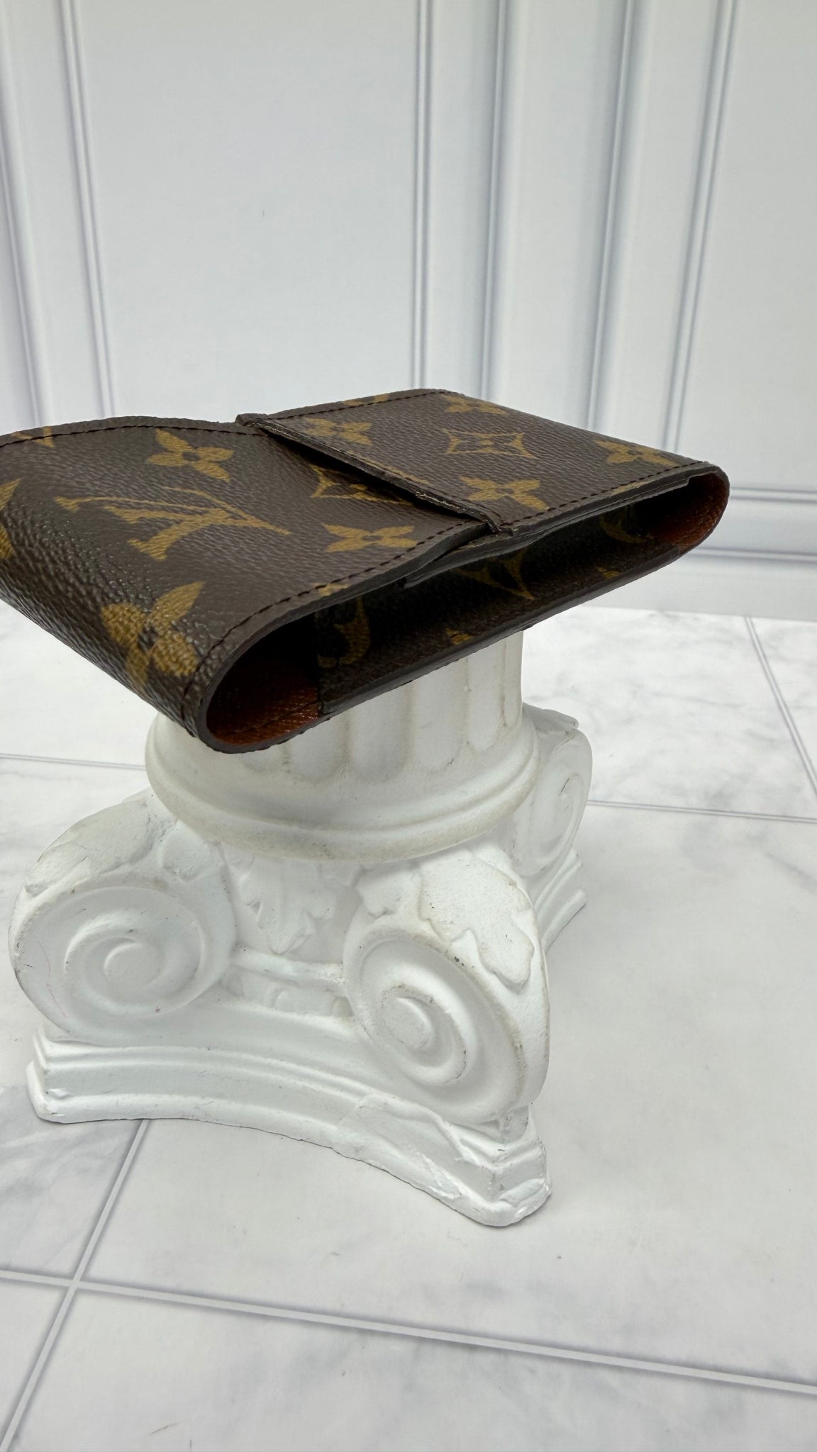 Louis Vuitton Monogram Case