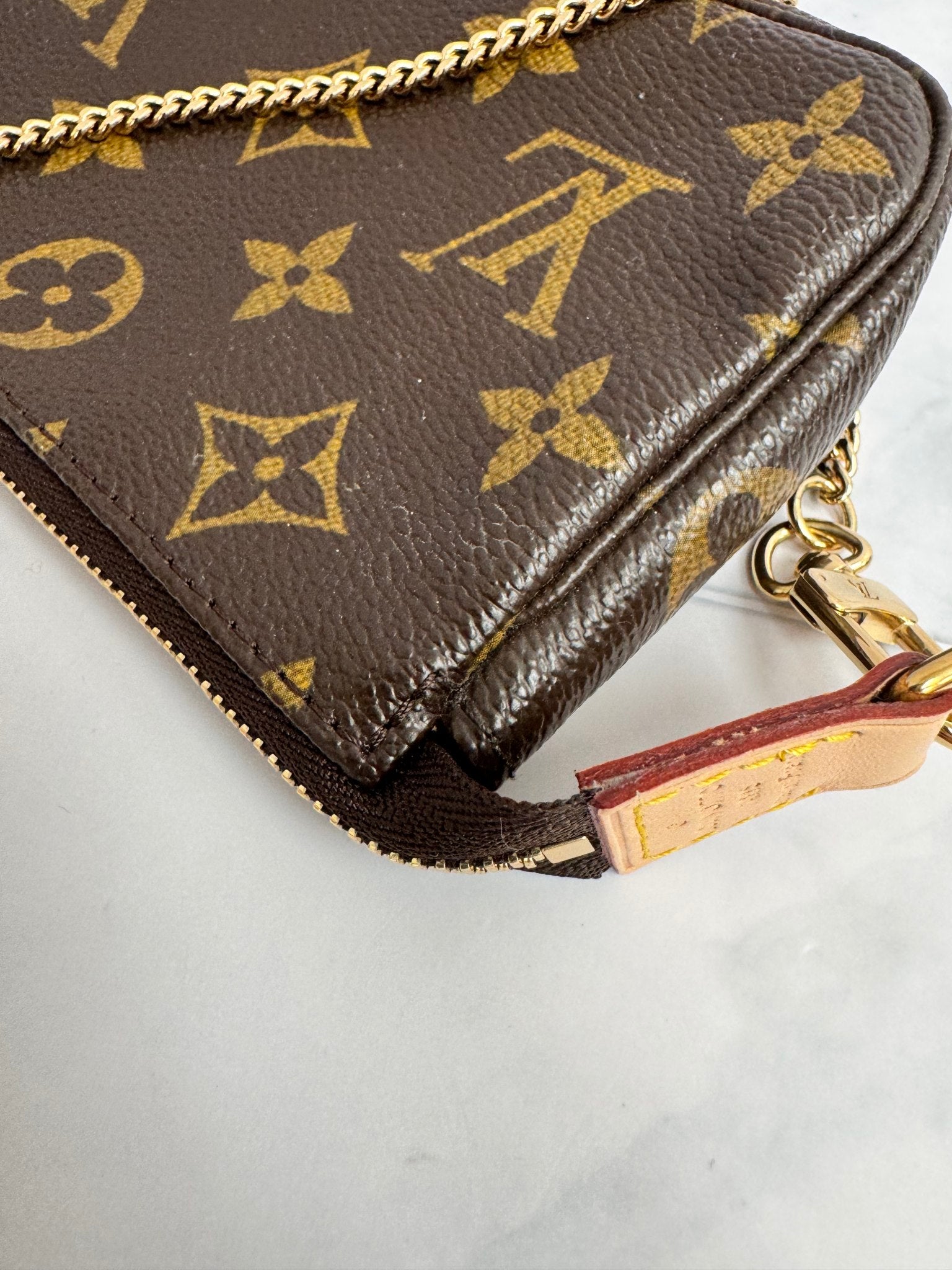 Louis Vuitton Monogram Limited Edition “Trunks & Bags” Mini Pochette