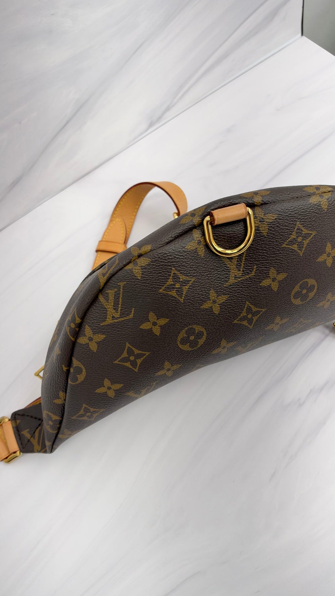 Louis Vuitton Monogram Bum Bag