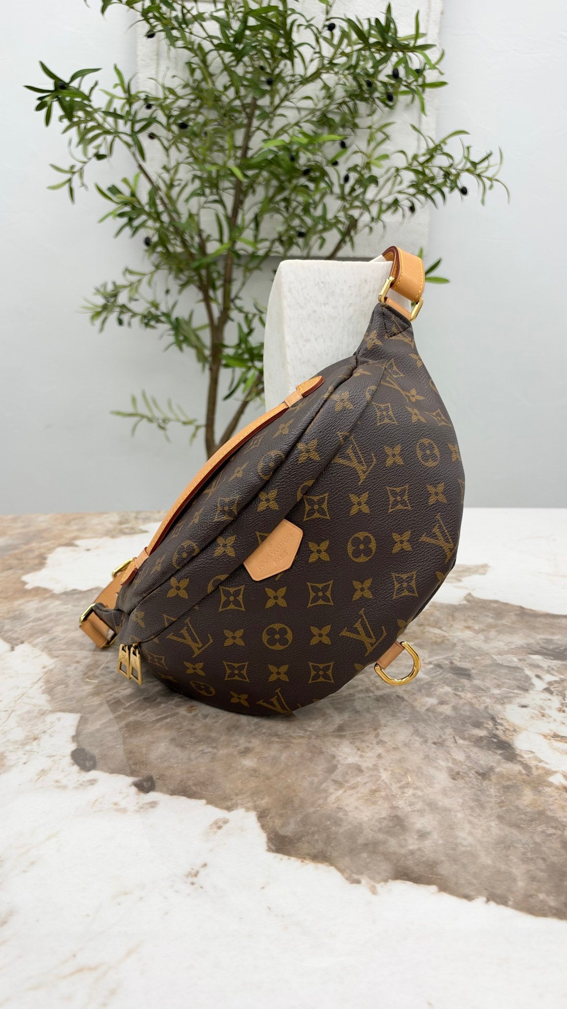 Louis Vuitton Monogram Bum Bag