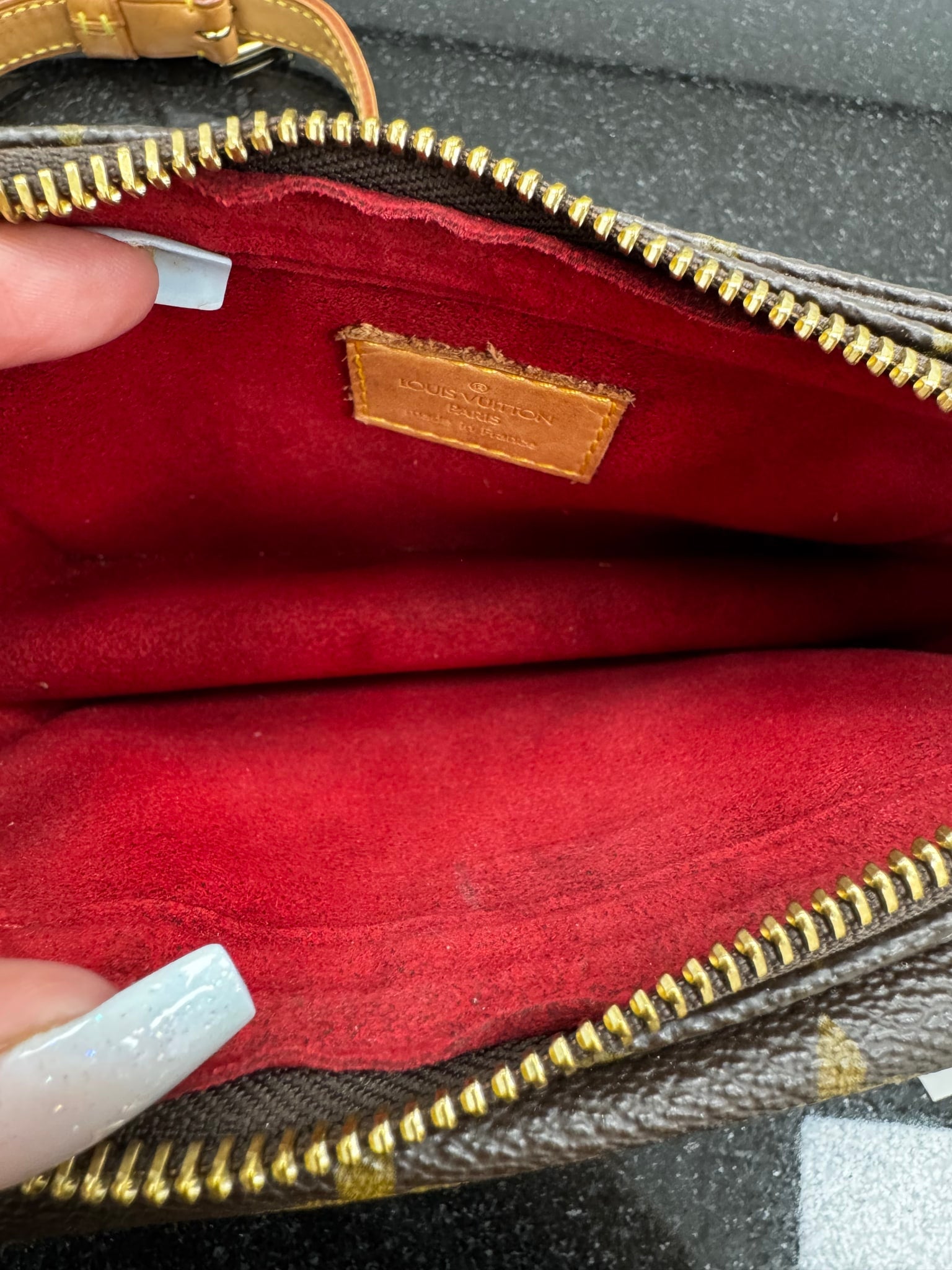 Louis Vuitton Monogram Viva Cite Bag PM
