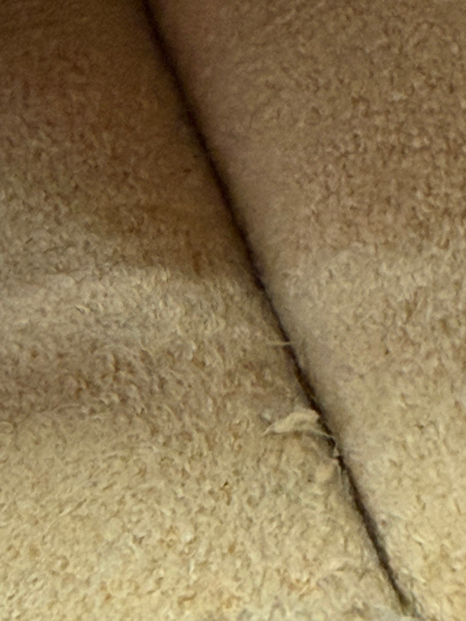 Louis Vuitton Monogram Glasses Case