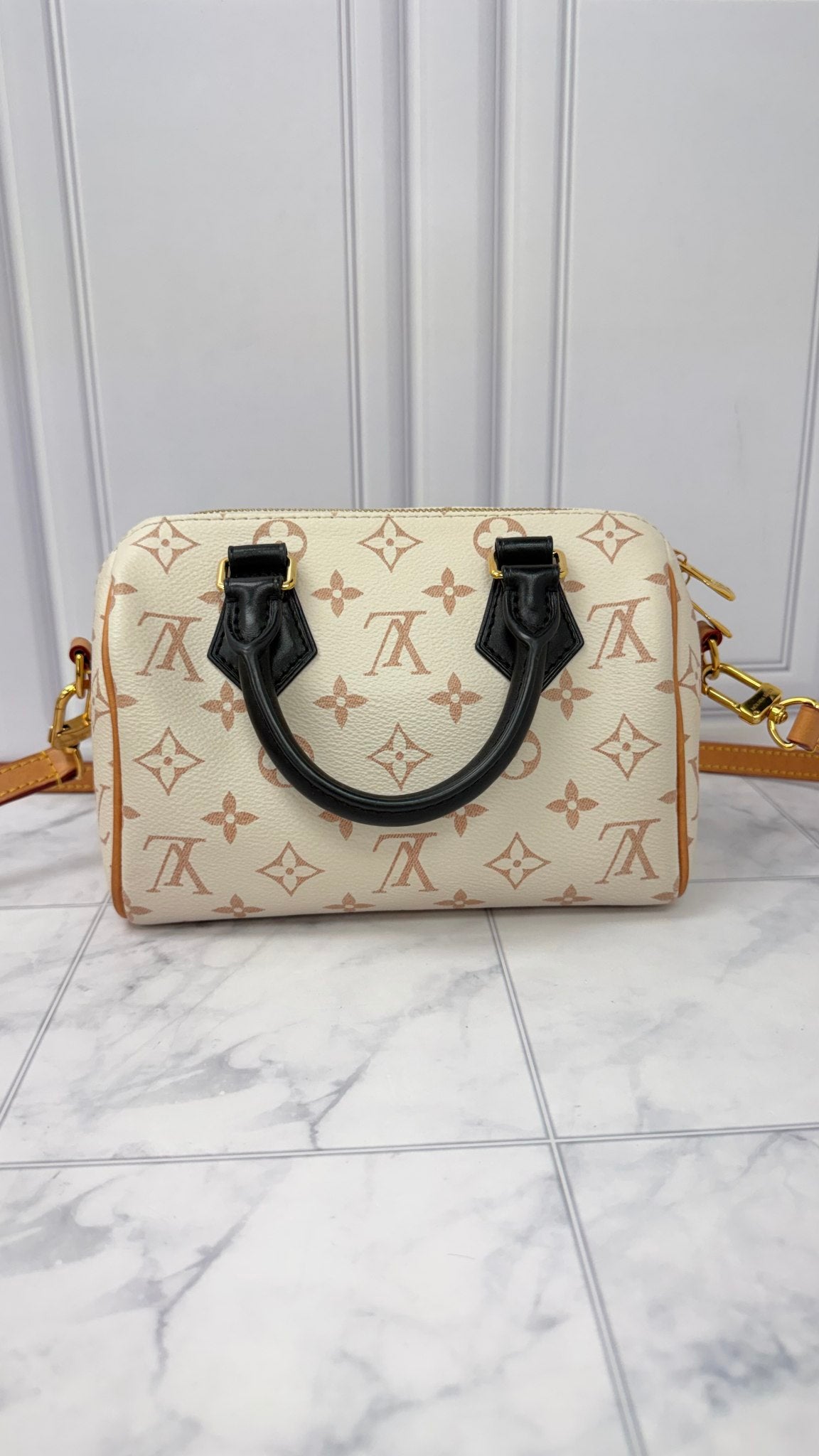 Louis Vuitton Monogram Dune Speedy 20 Bandouliere