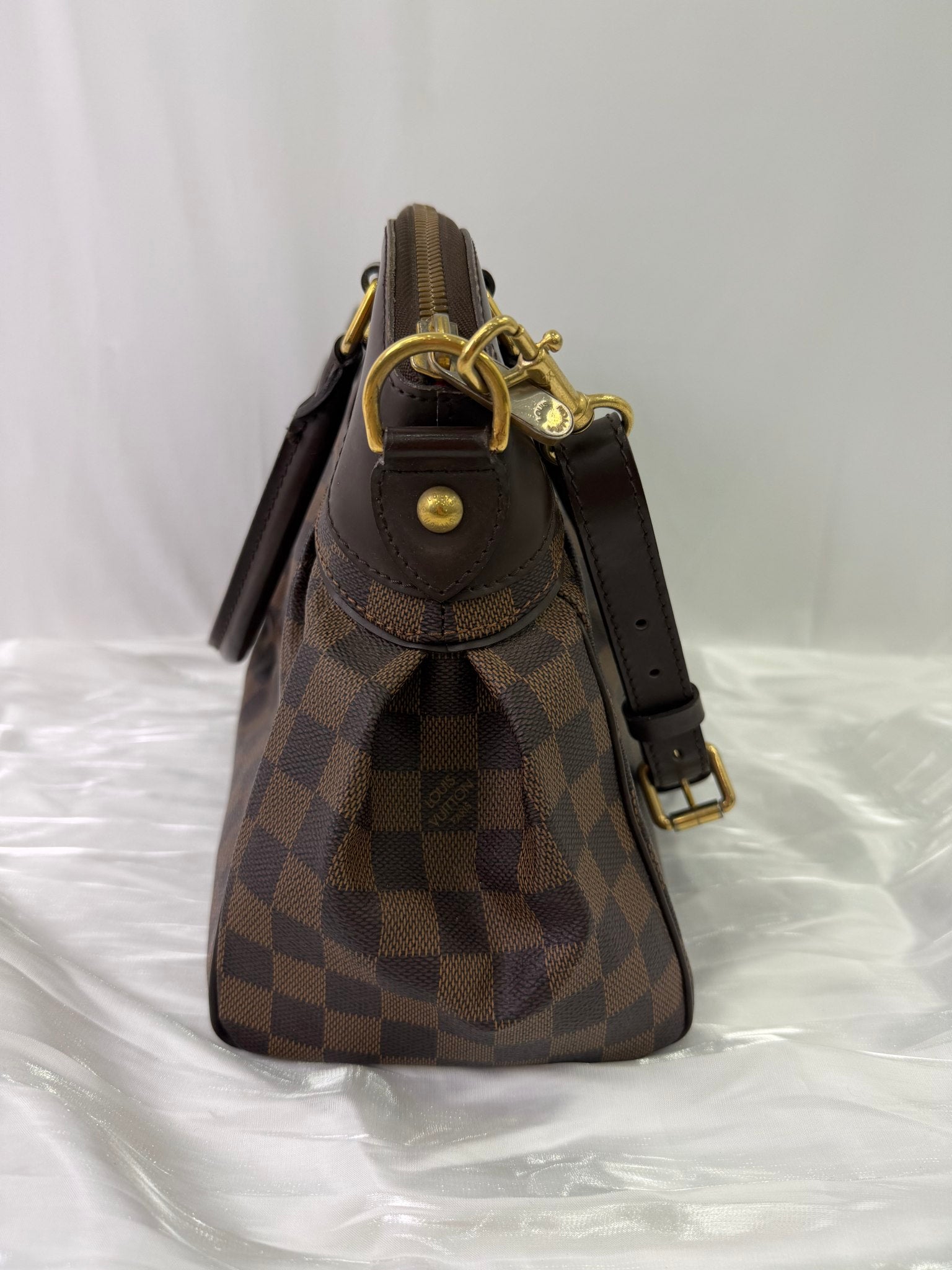Louis Vuitton Damier Ebene Trevi PM Two Way Bag