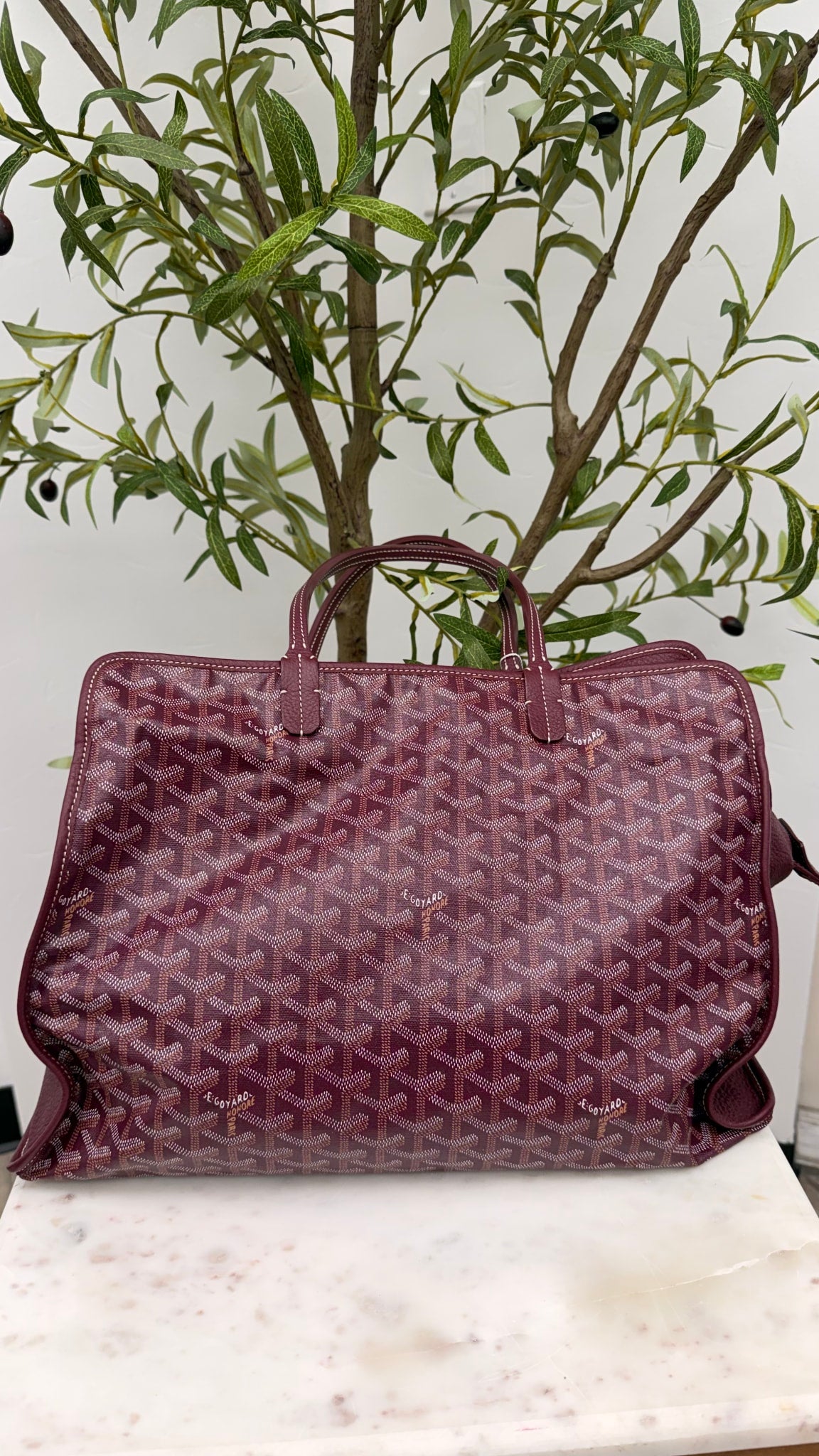 Goyard Burgundy Goyardine Canvas Sac Hardy PM Pet Carrier