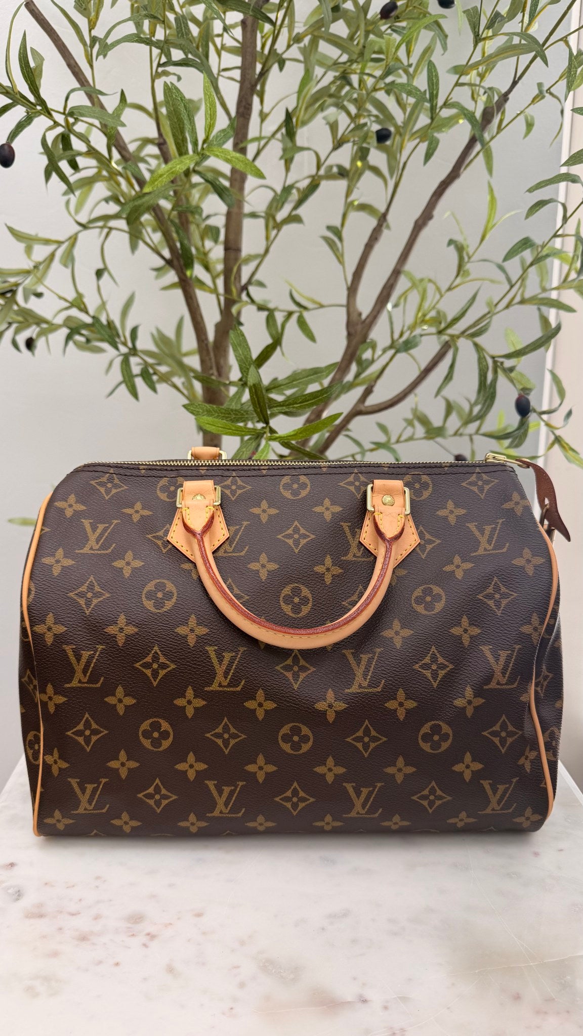 LIKE NEW- Louis Vuitton Monogram Speedy 30