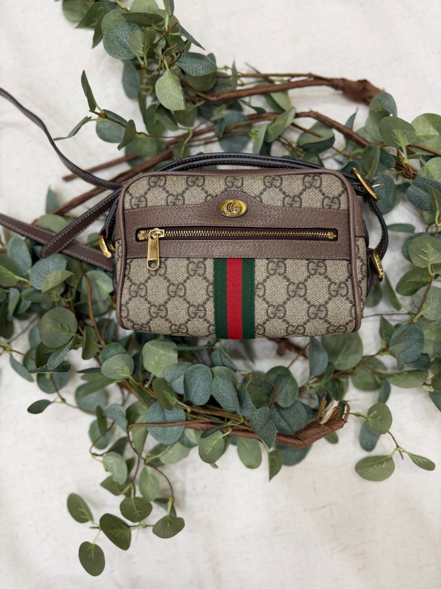 Gucci Brown Coated Canvas GG Supreme Print Mini Ophidia Bag