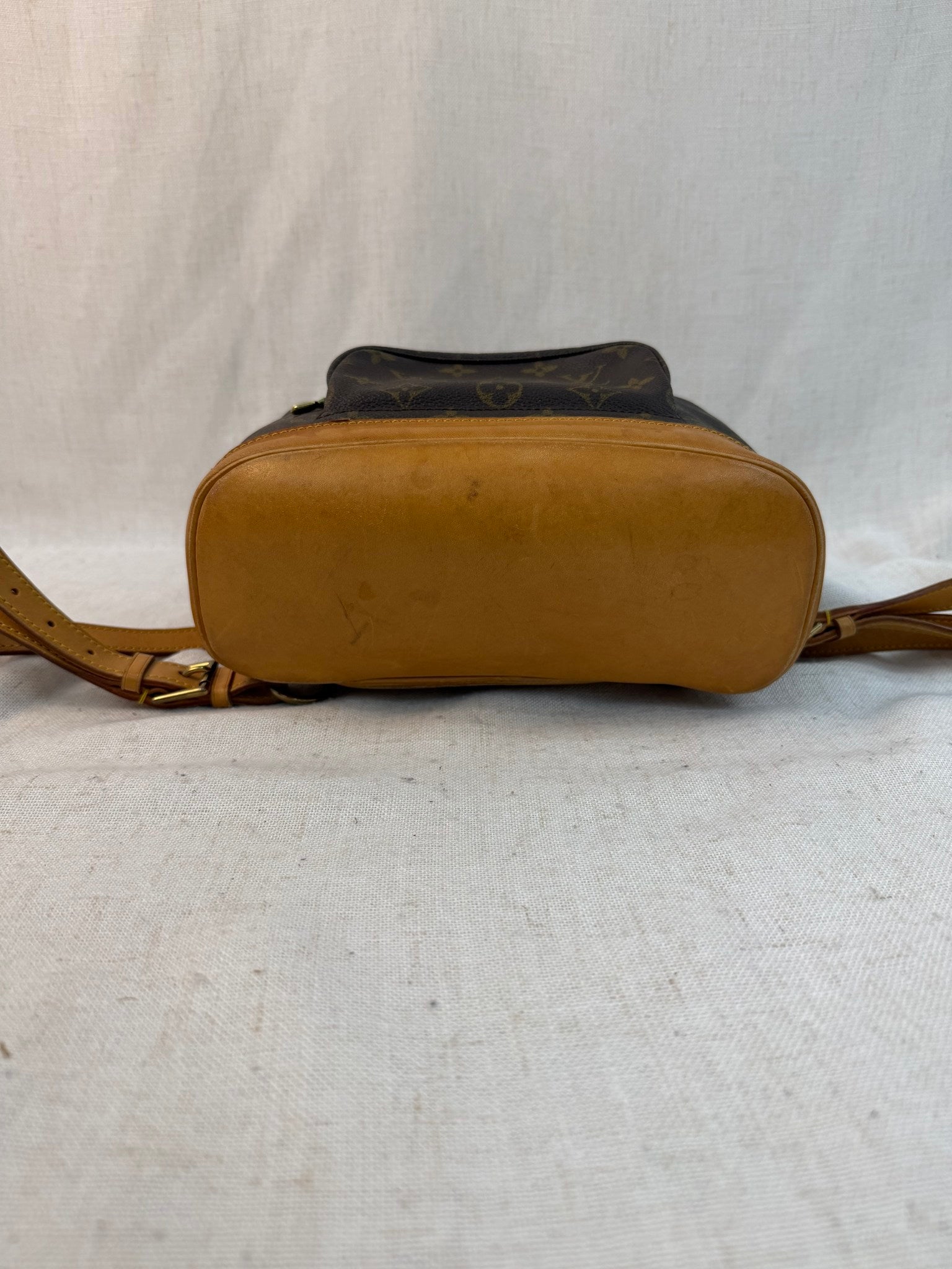 Louis Vuitton Monogram Montsouris MM Backpack