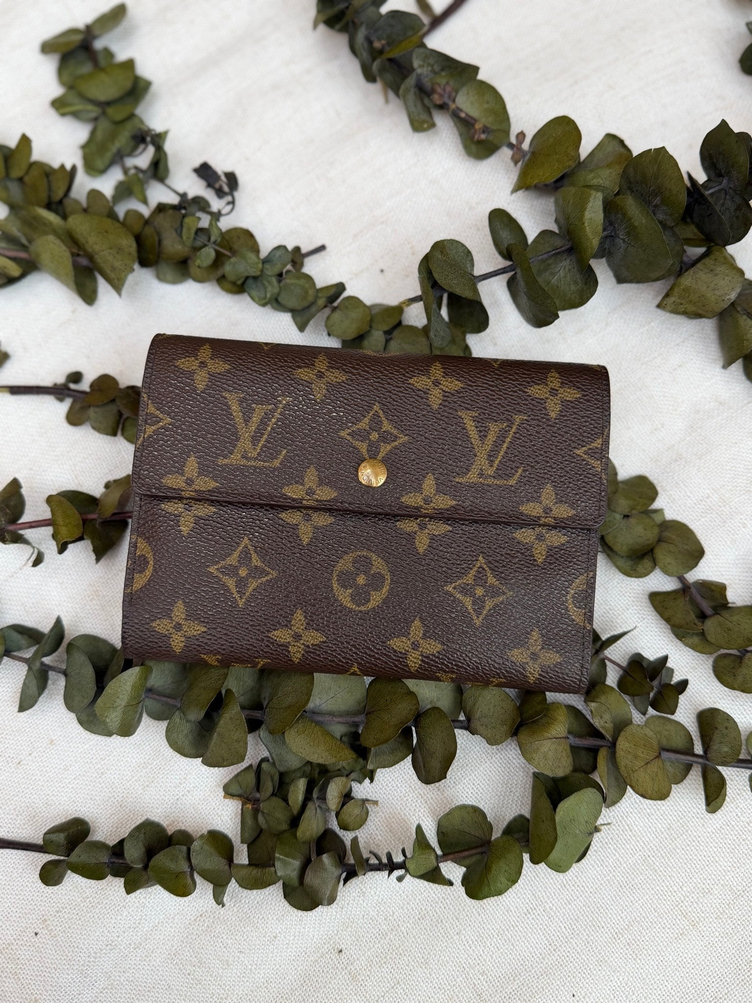 Louis Vuitton Monogram Etui Wallet