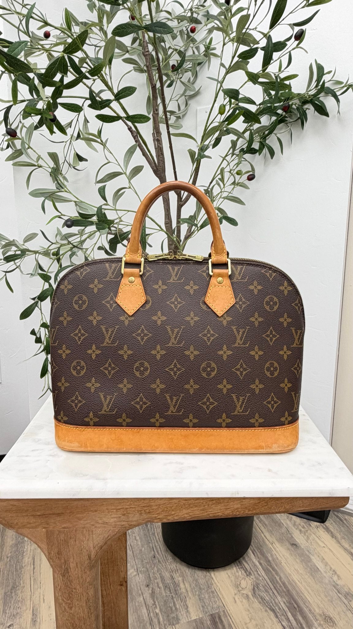 Louis Vuitton Monogram Alma PM Handbag