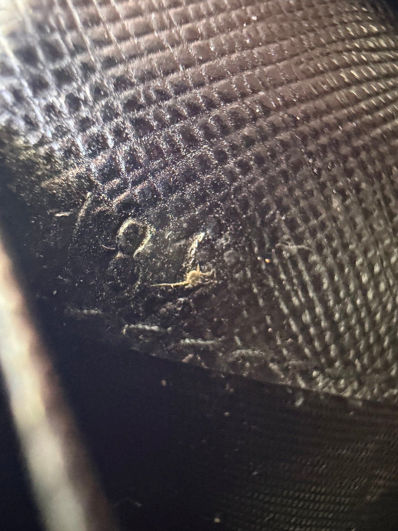 Prada Black Saffiano Leather Card Case