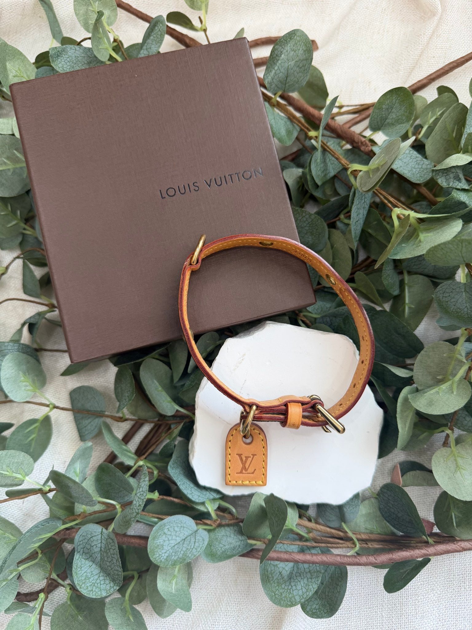 Louis Vuitton Monogram Collier Baxter Dog Collar