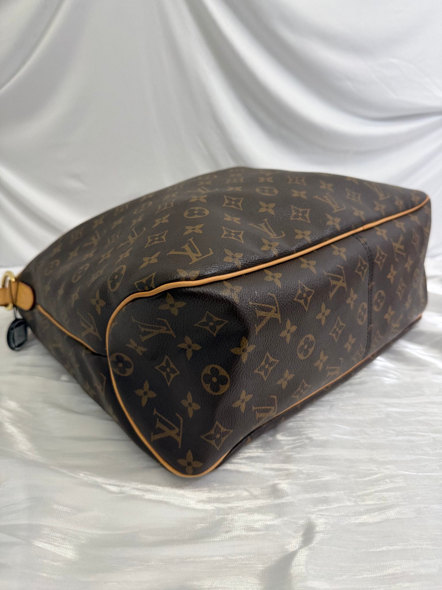 Louis Vuitton Monogram Delightful MM