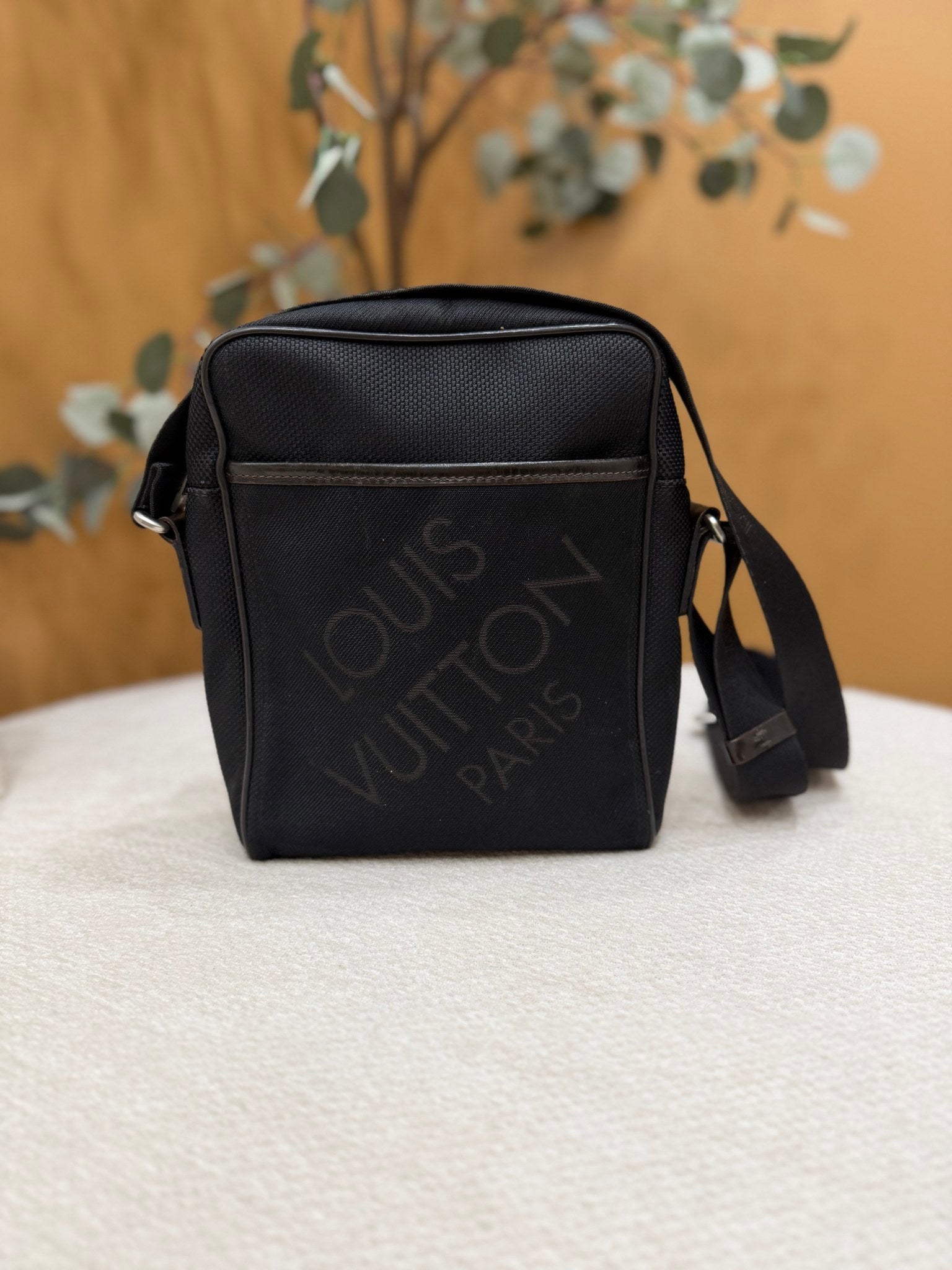 Louis Vuitton Damier Geant Citadin Messenger Bag