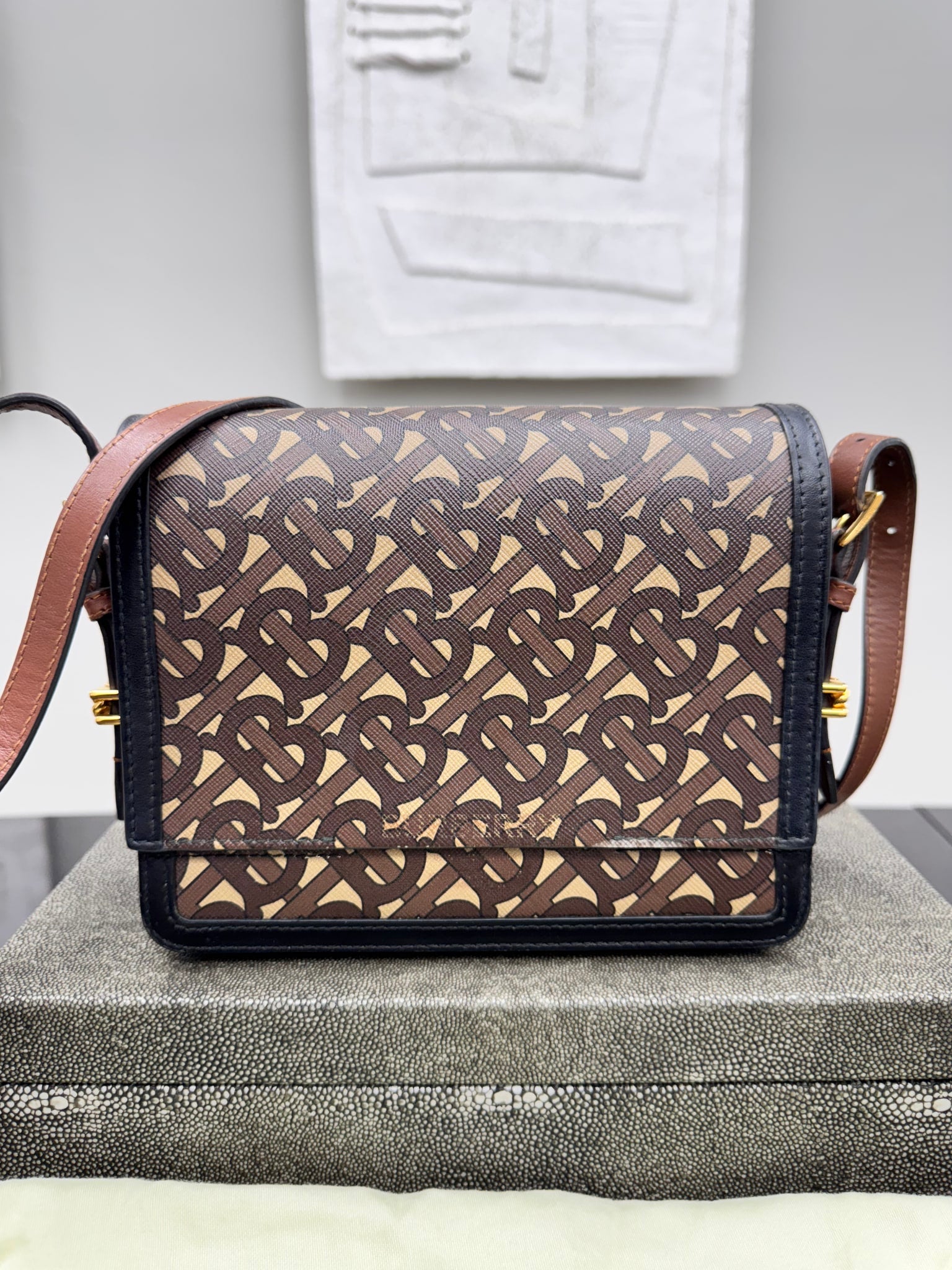 Burberry Brown TB Monogram Crossbody Bag