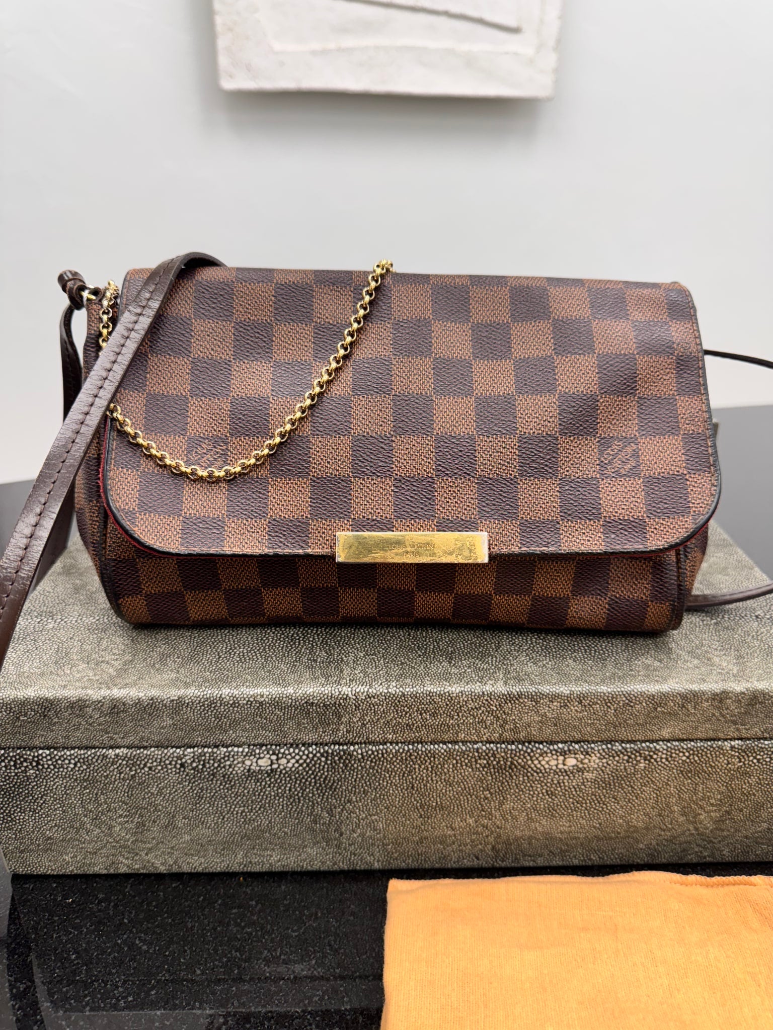 Louis Vuitton Damier Ebene Favorite Bag MM