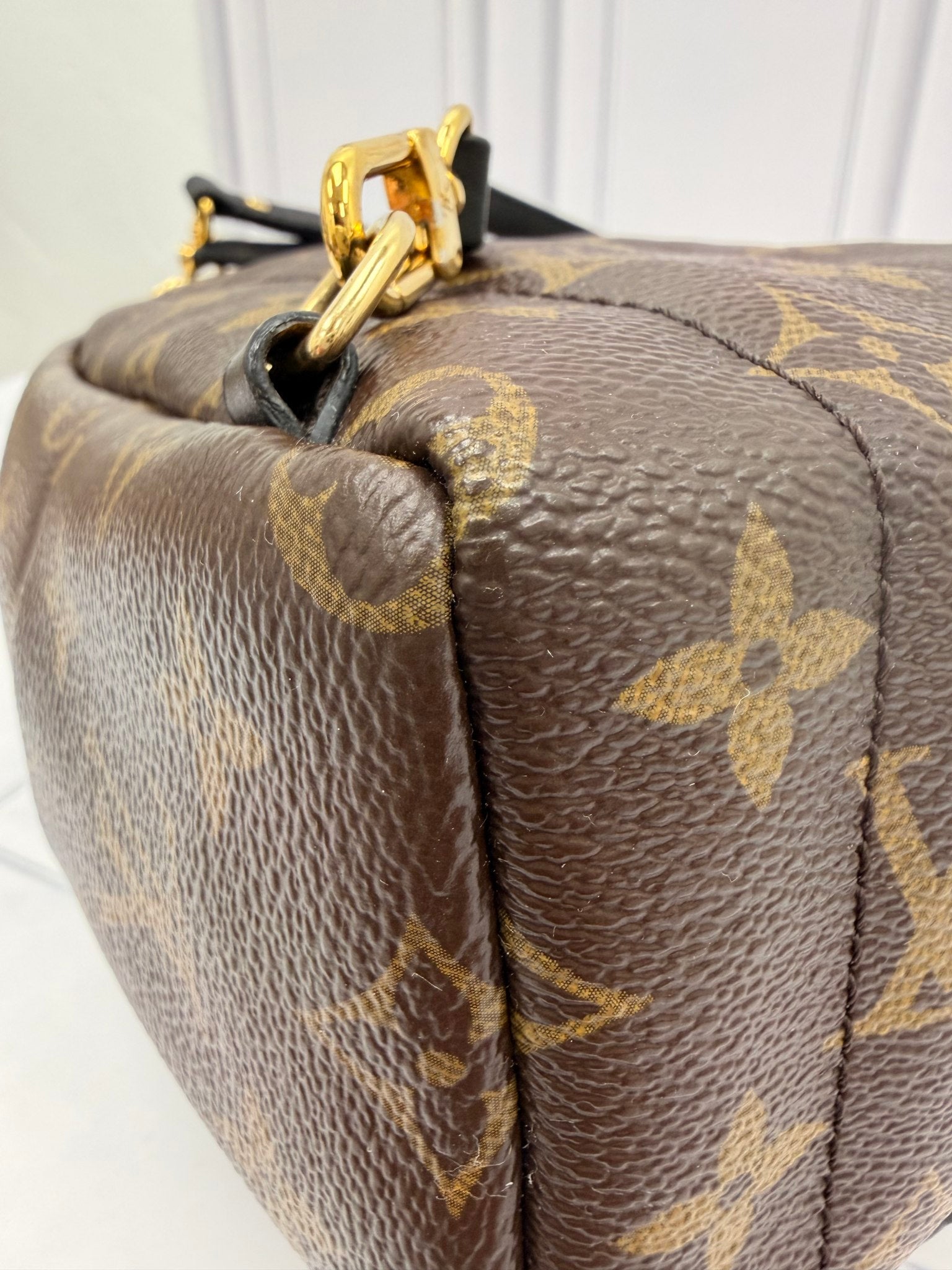 Louis Vuitton Monogram Mini Palm Springs Backpack