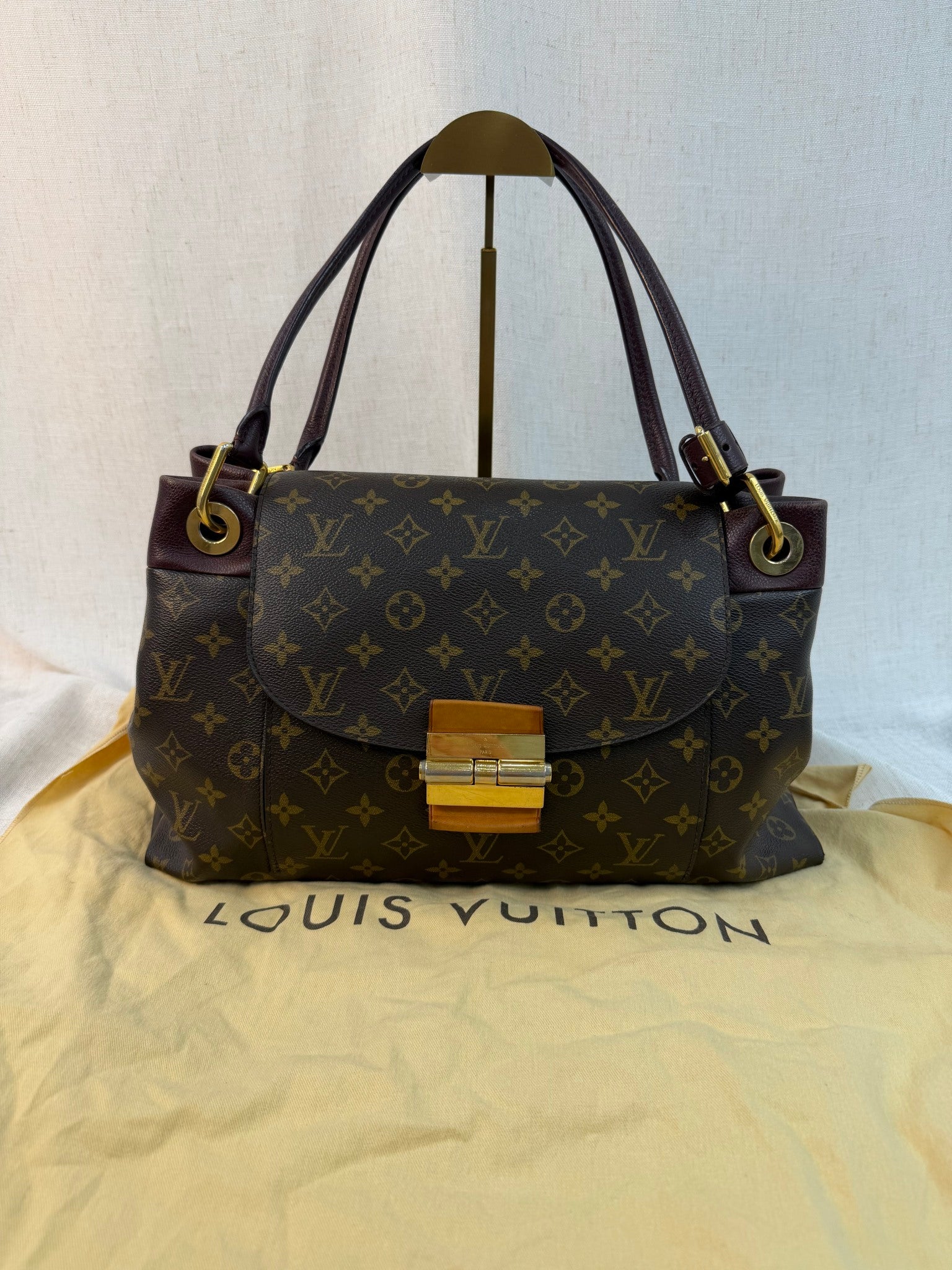 Louis Vuitton Monogram Olympe MM Bag