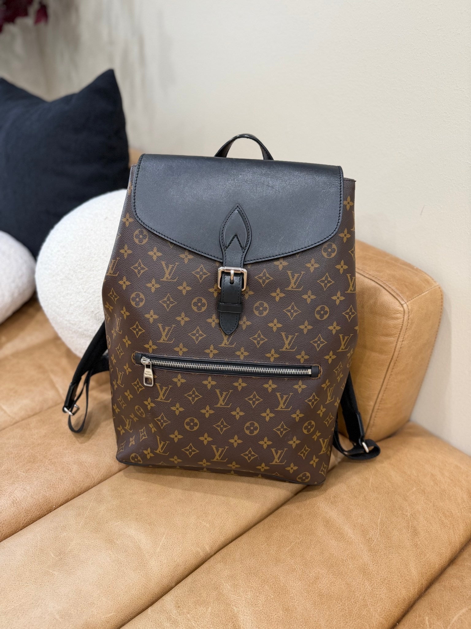 Louis Vuitton Monogram & Macassar Palk Backpack