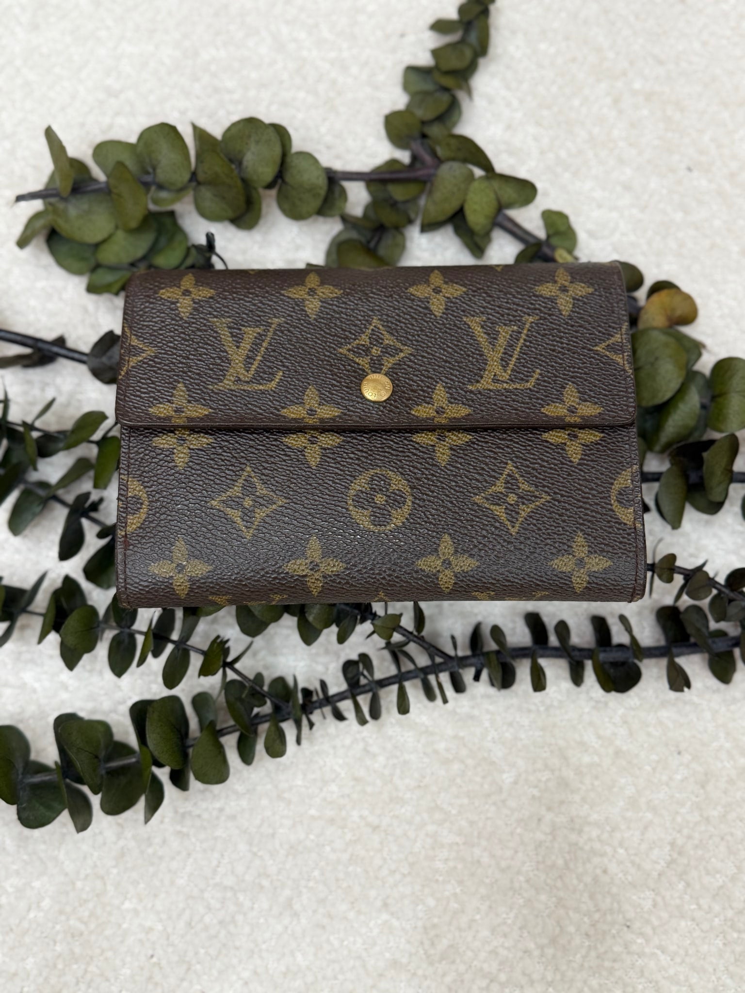 Louis Vuitton Monogram Porte Tresor Etui Wallet