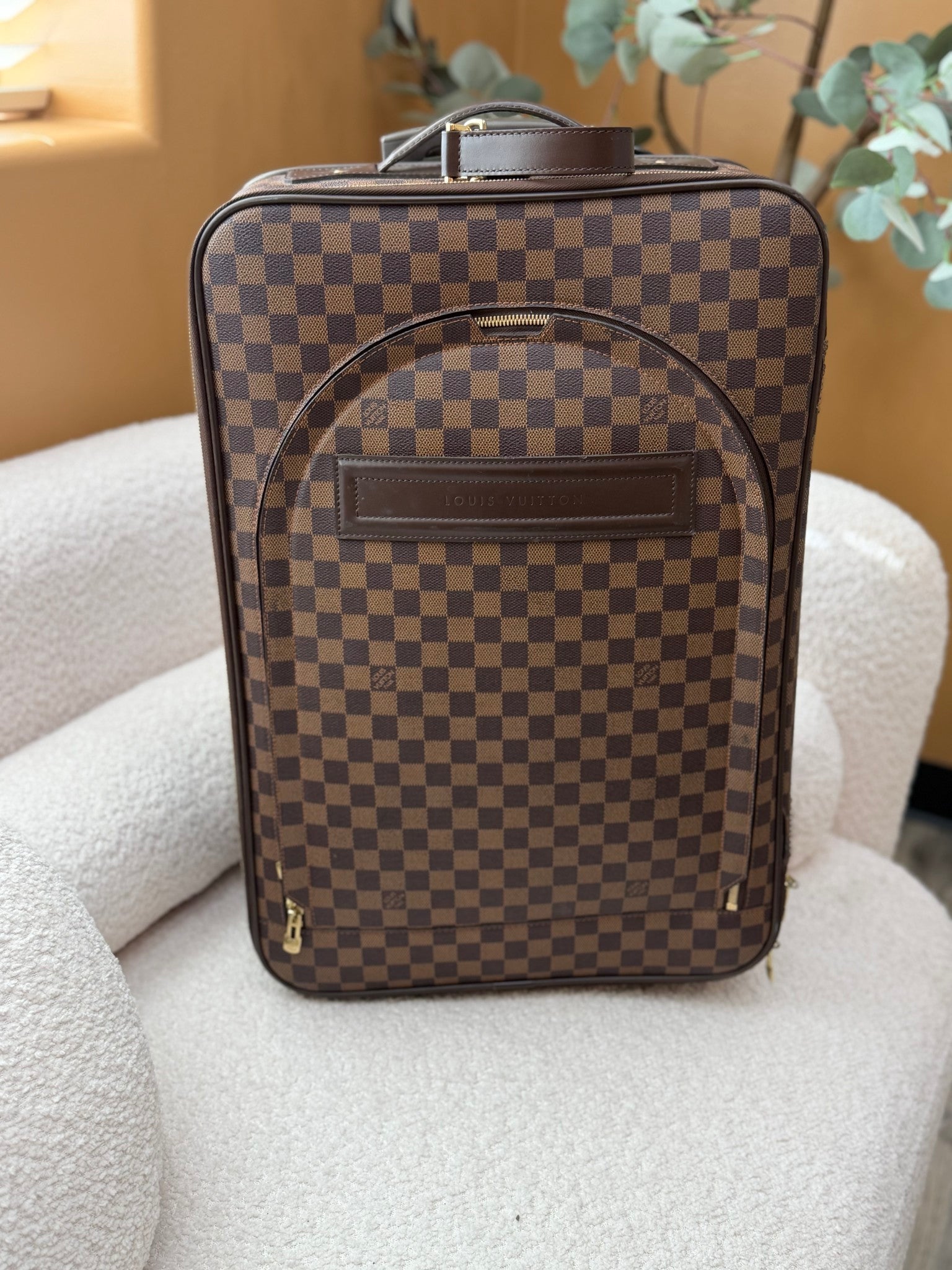 Louis Vuitton Damier Ebene Pegase 55 Rolling Suitcase